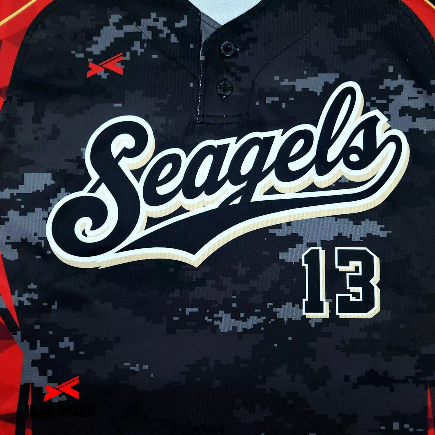 Seagels3