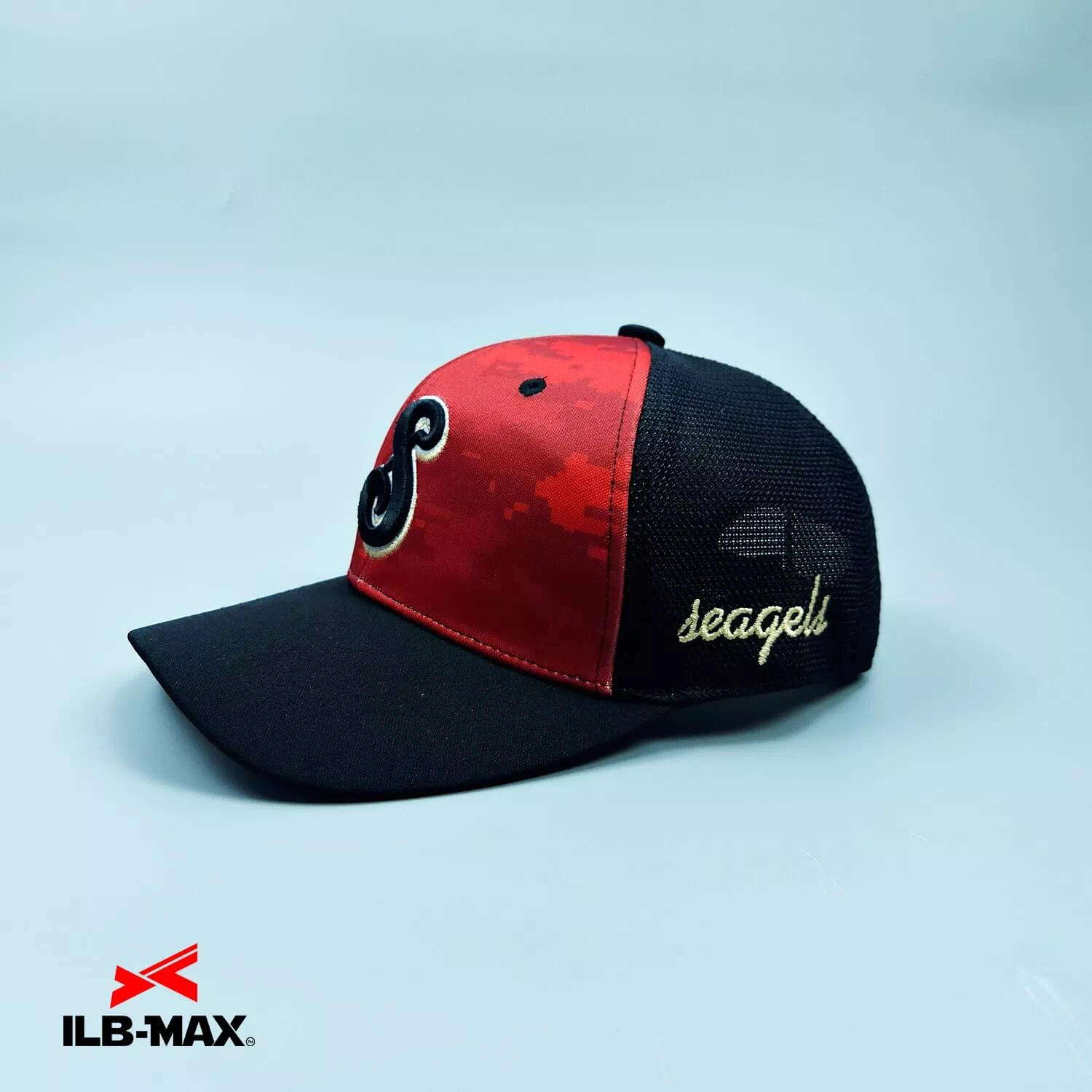 Seagels8