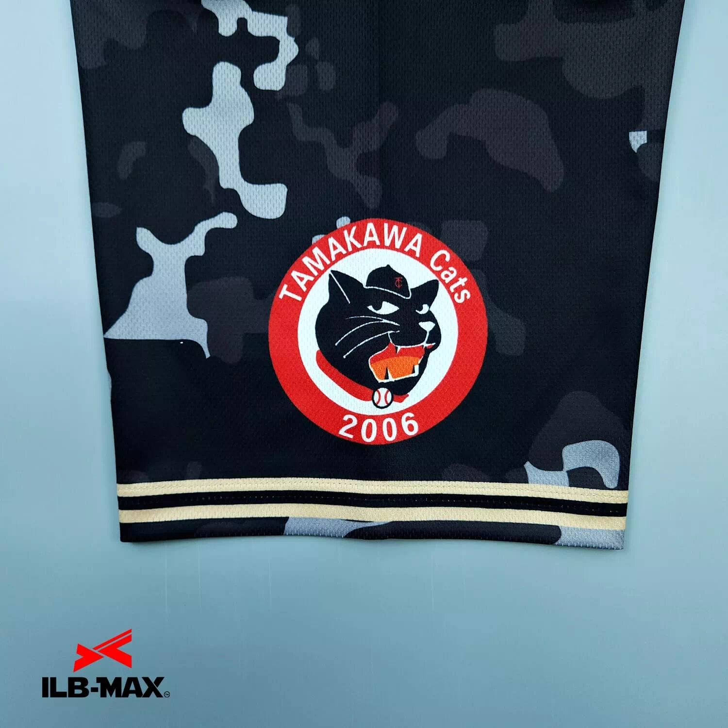 TAMAKAWA Cats3