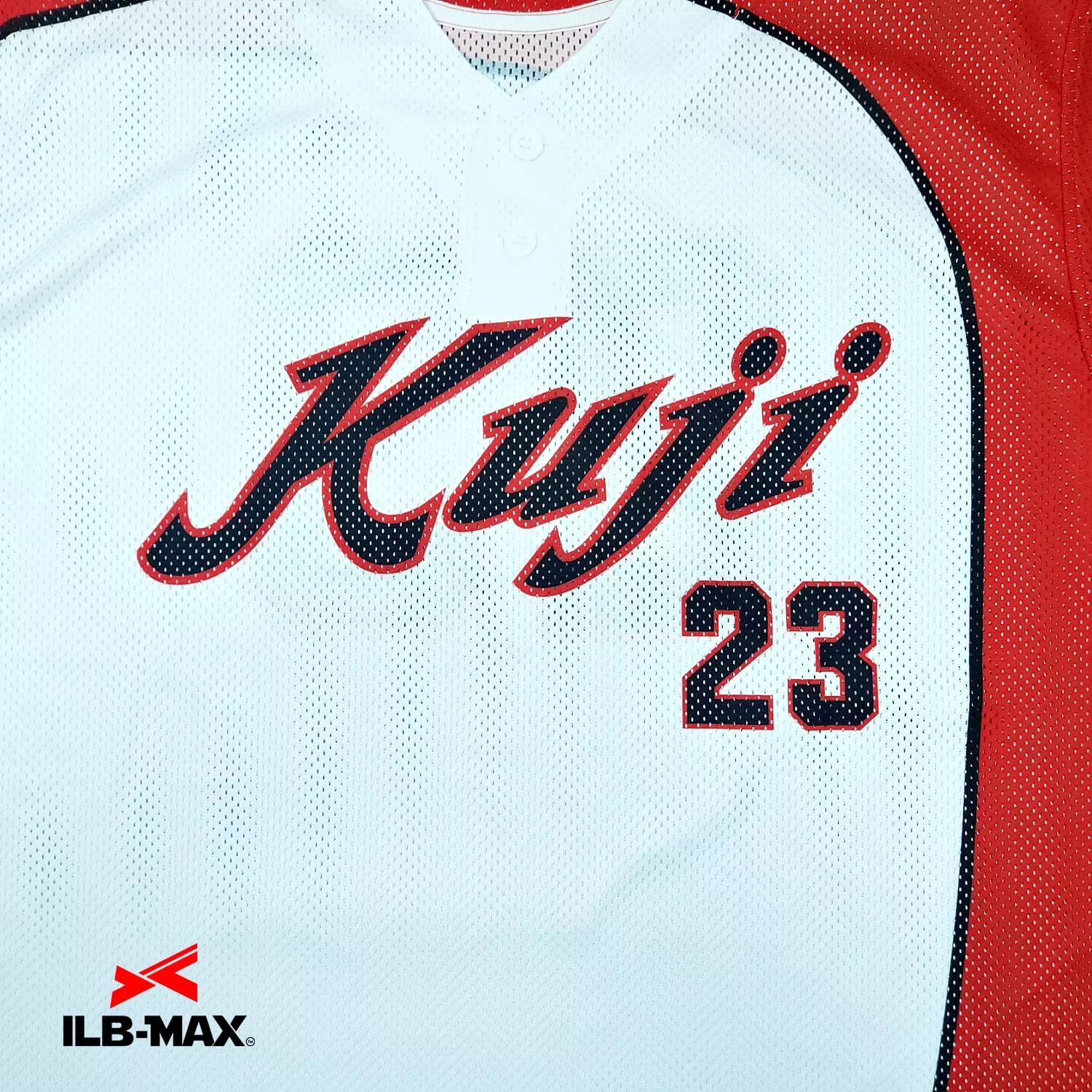 TEAM Kuji1