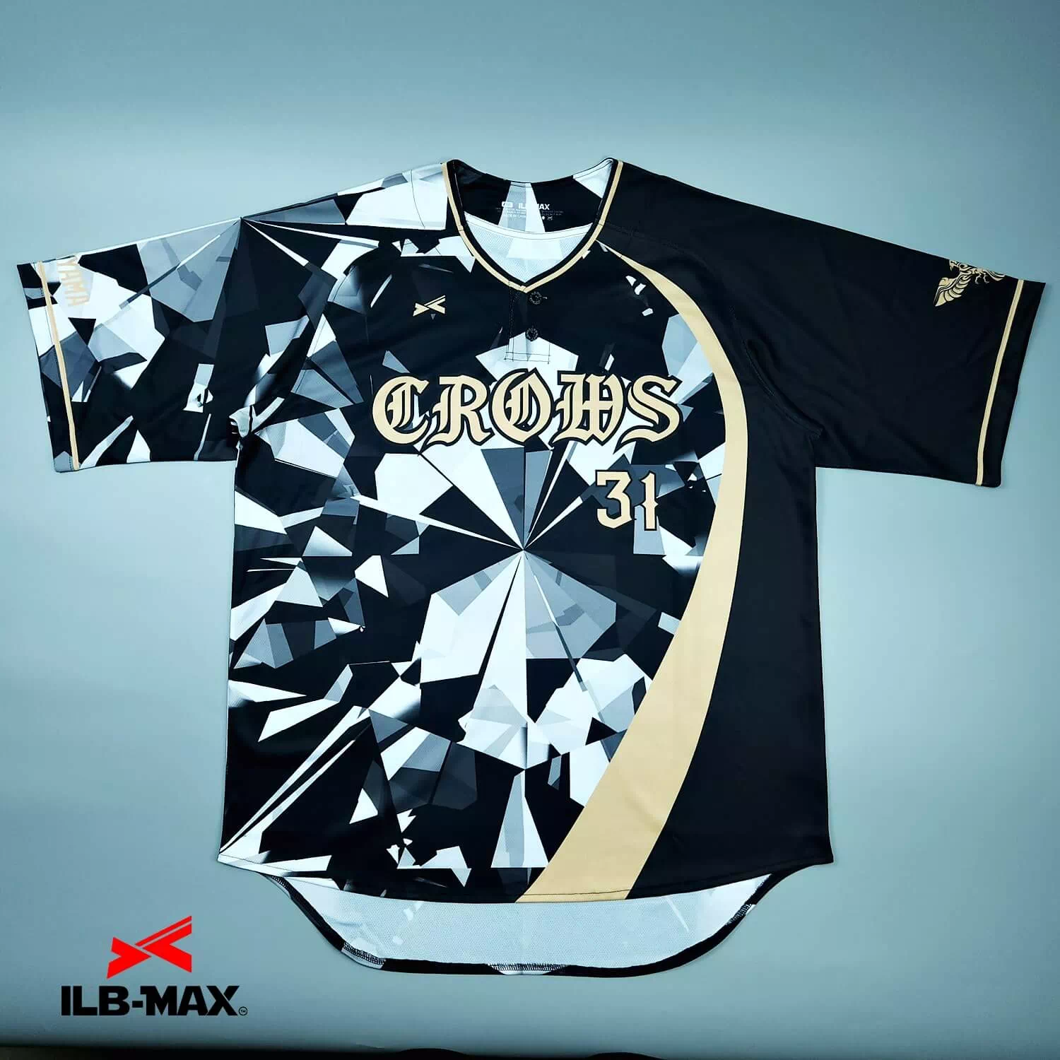 WAKAYAMA CROWS1