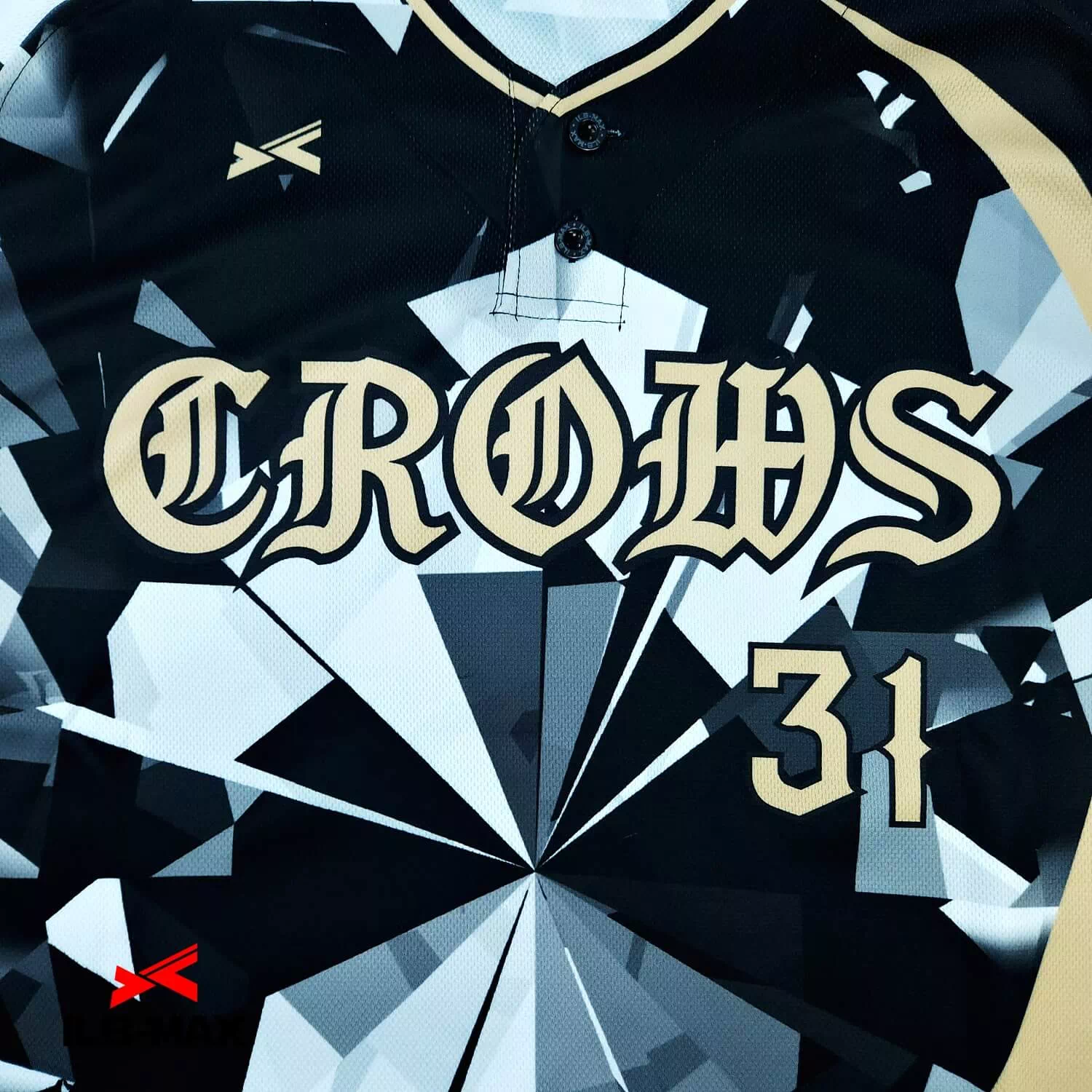WAKAYAMA CROWS2