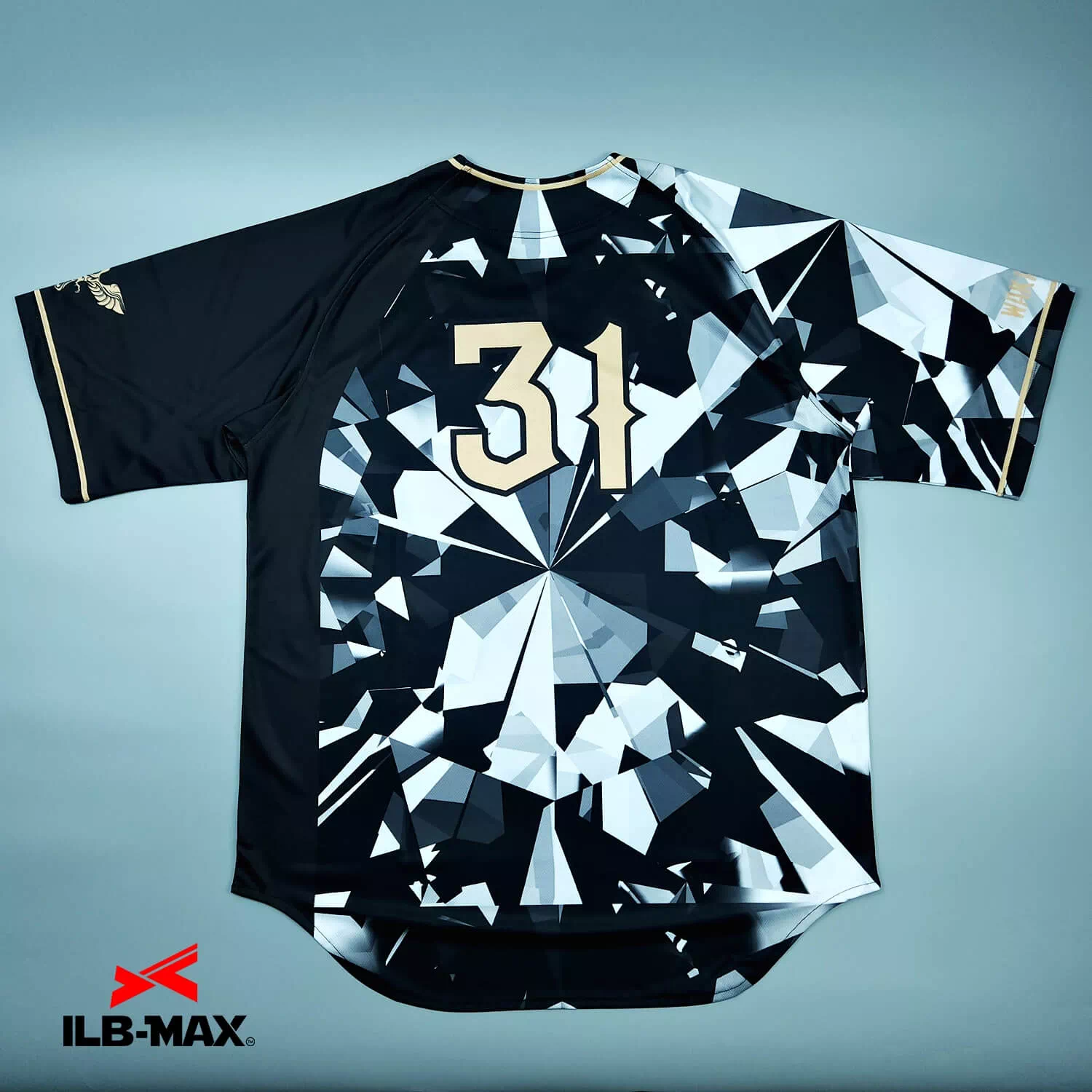 WAKAYAMA CROWS5
