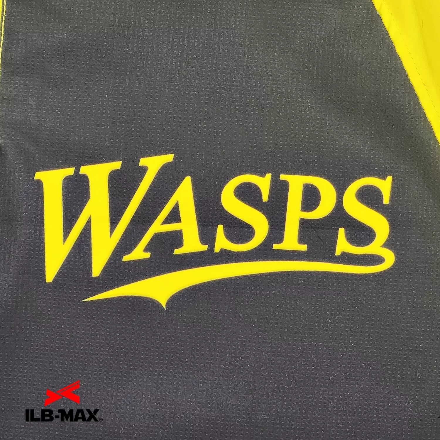 WASP_WB1