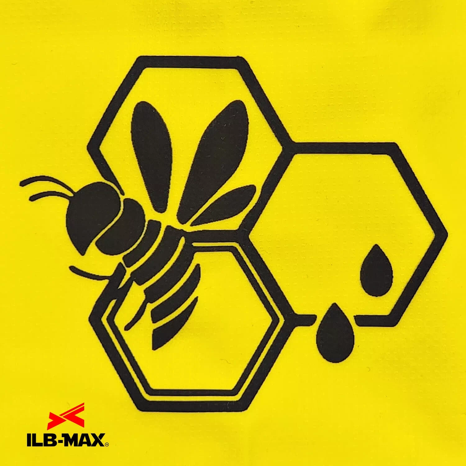 WASP_WB2