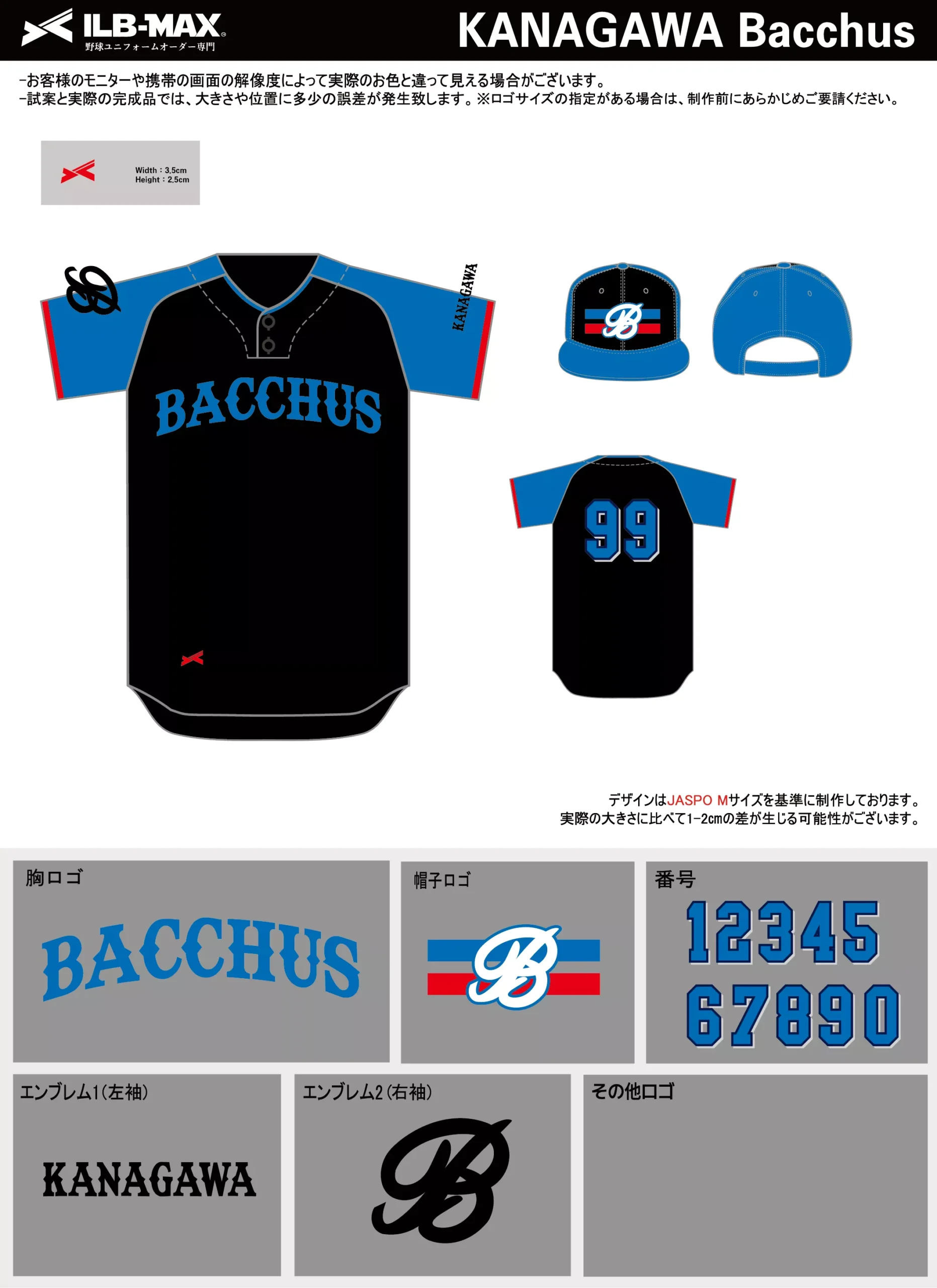 野球 ユニフォーム デザイン_KANAGAWA Bacchus.webp