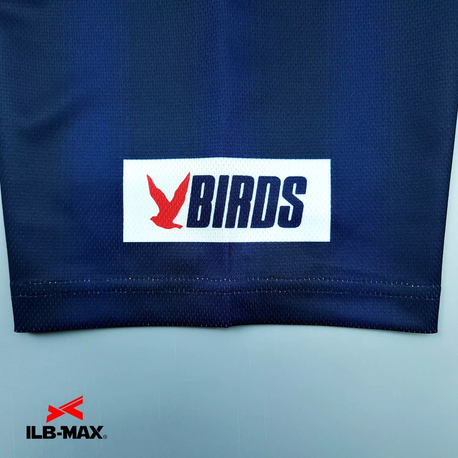 BLUE SPARROWS3