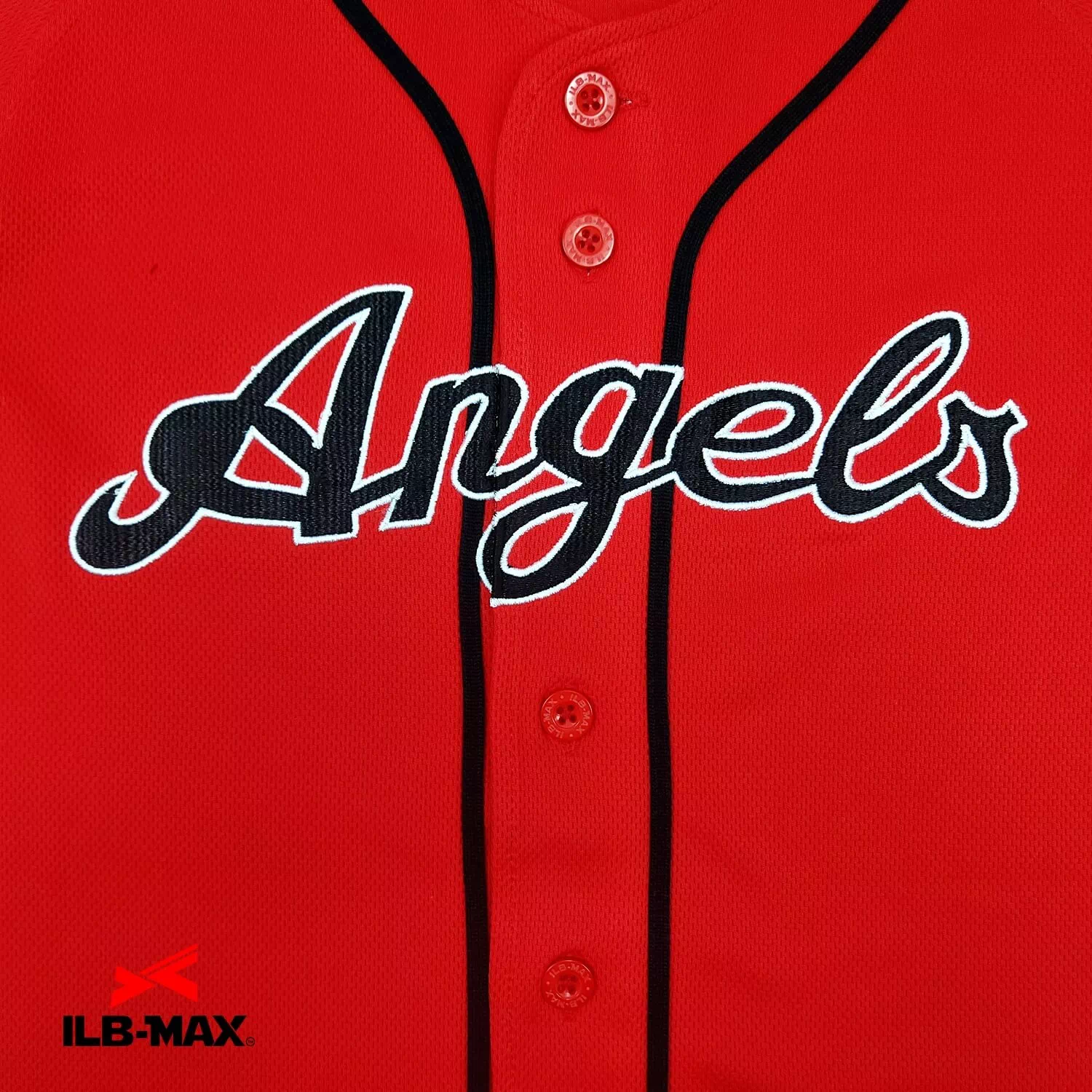 FUJIMI Angels2
