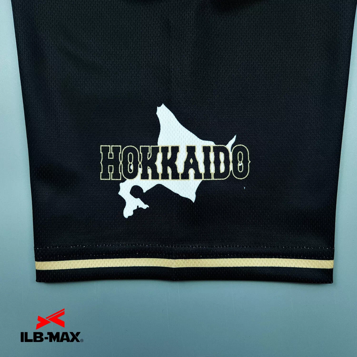 HOKKAIDO JAPAN3