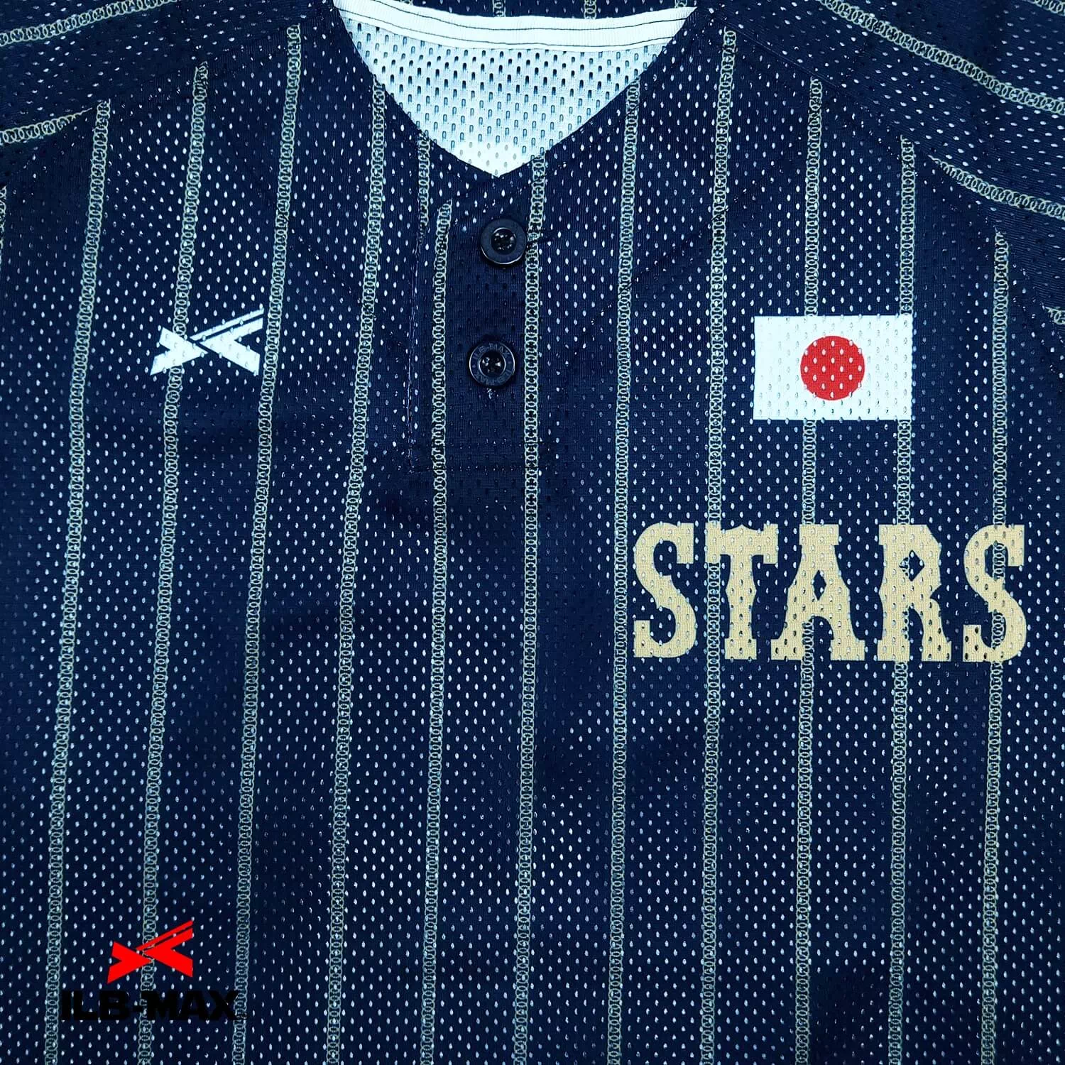 INA Stars1