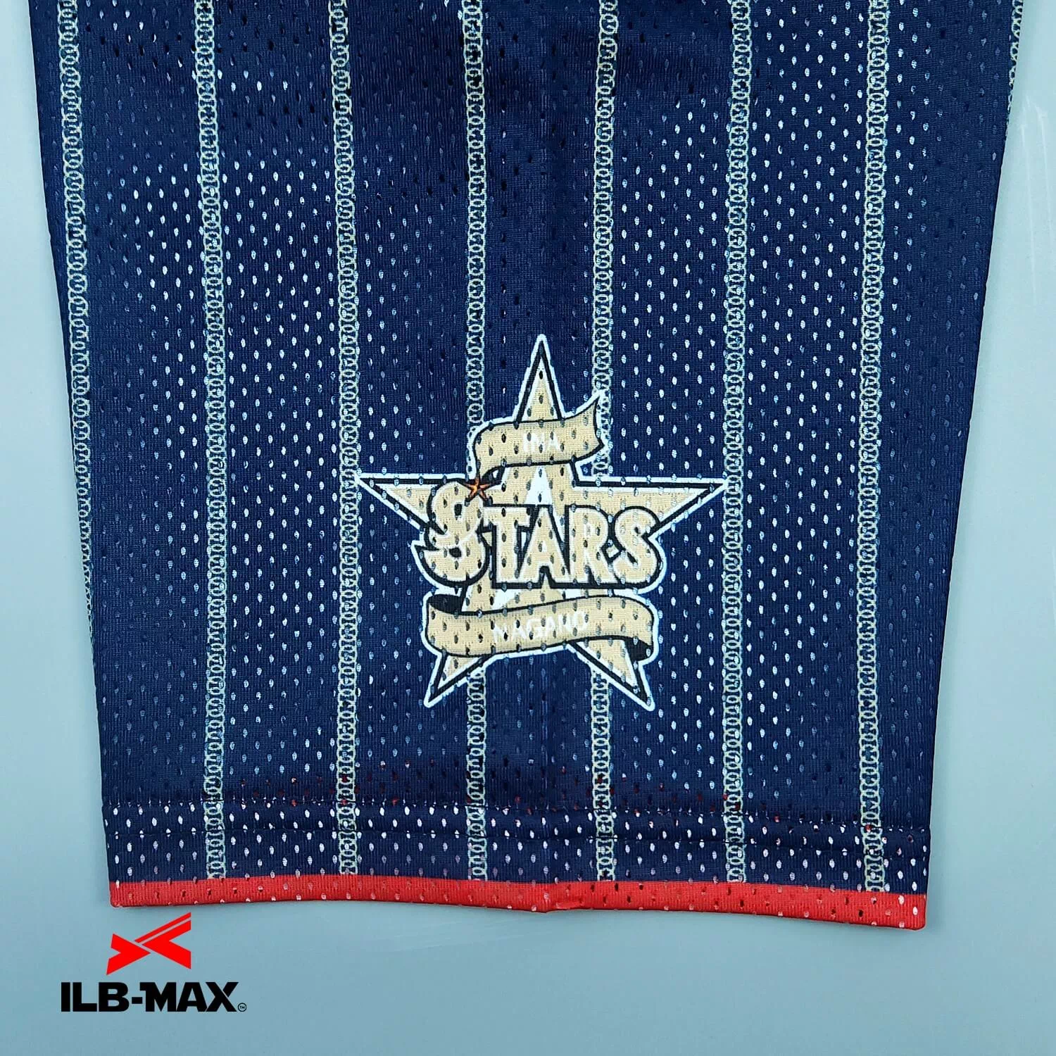 INA Stars3
