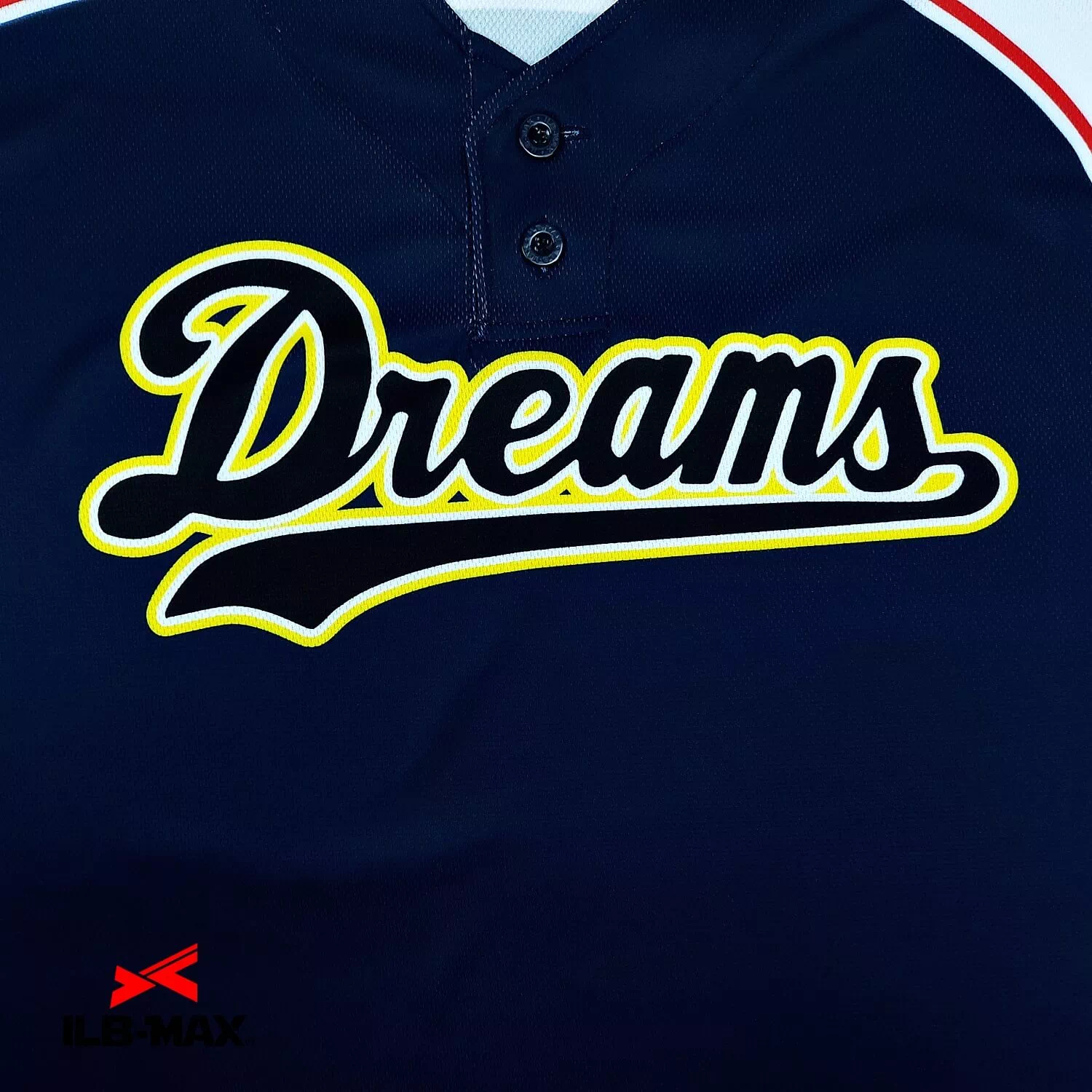 IZUMINAKAYAMA Dreams2