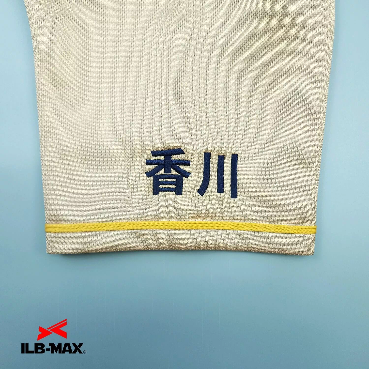 Kagawa 2nd2