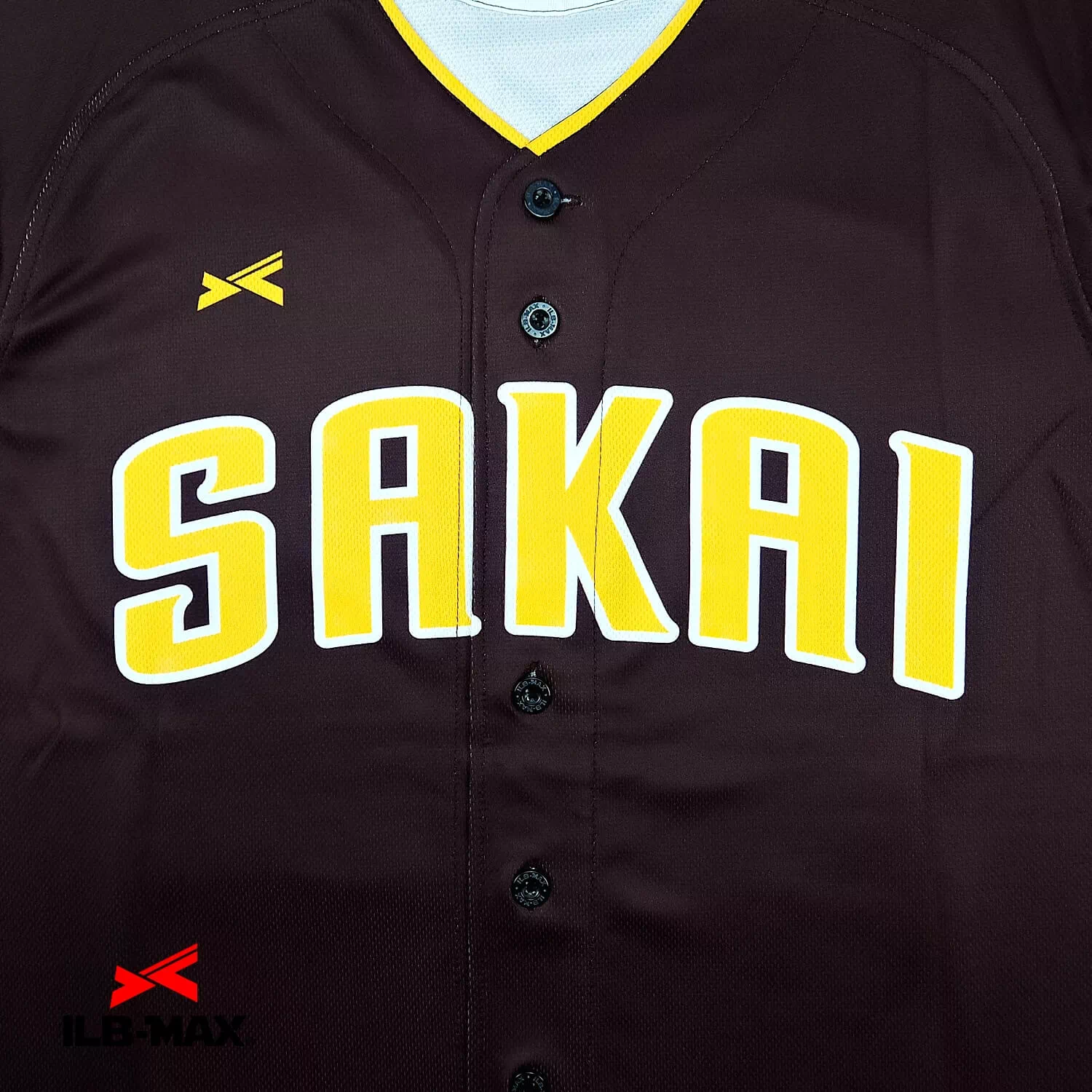 NANKAI SAKAI2