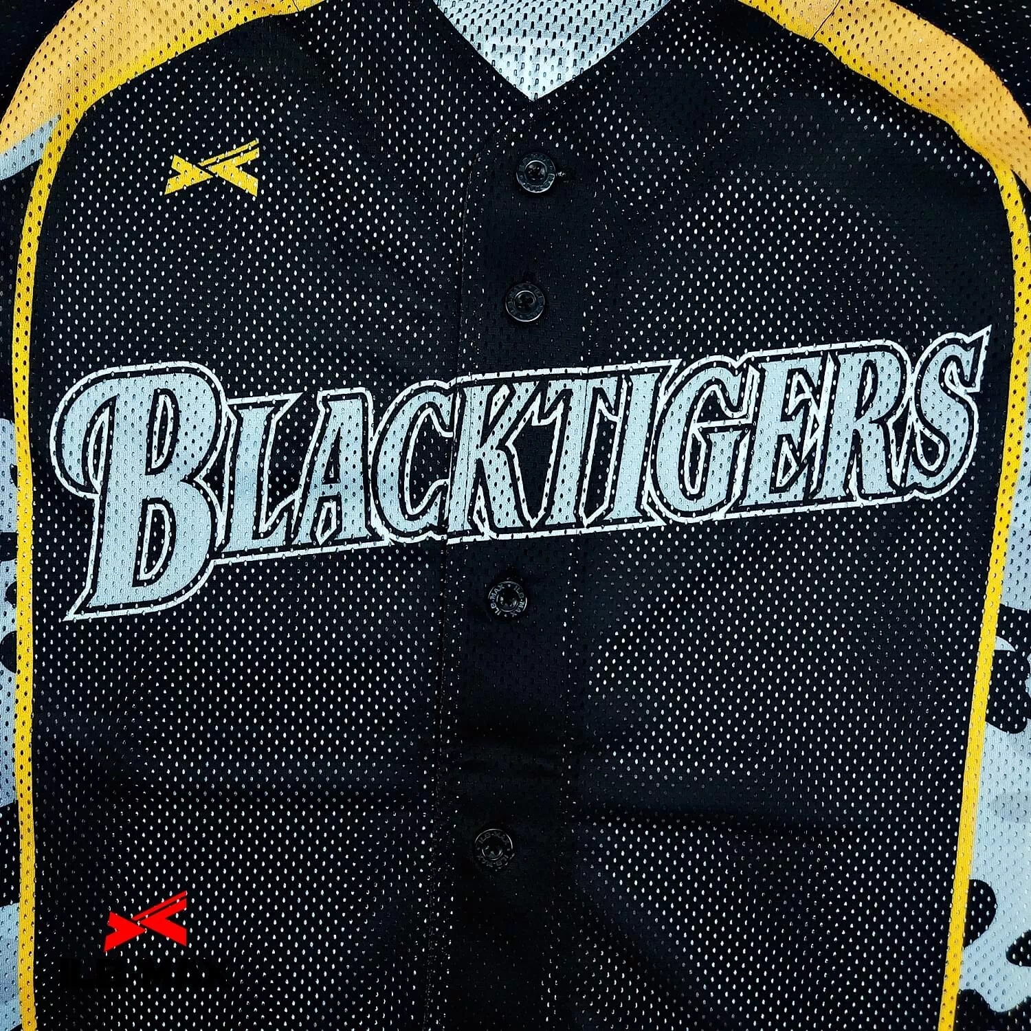 SETAGAYA BLACK TIGERS1