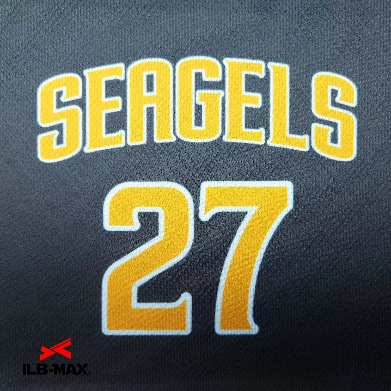 Seagels_ST1