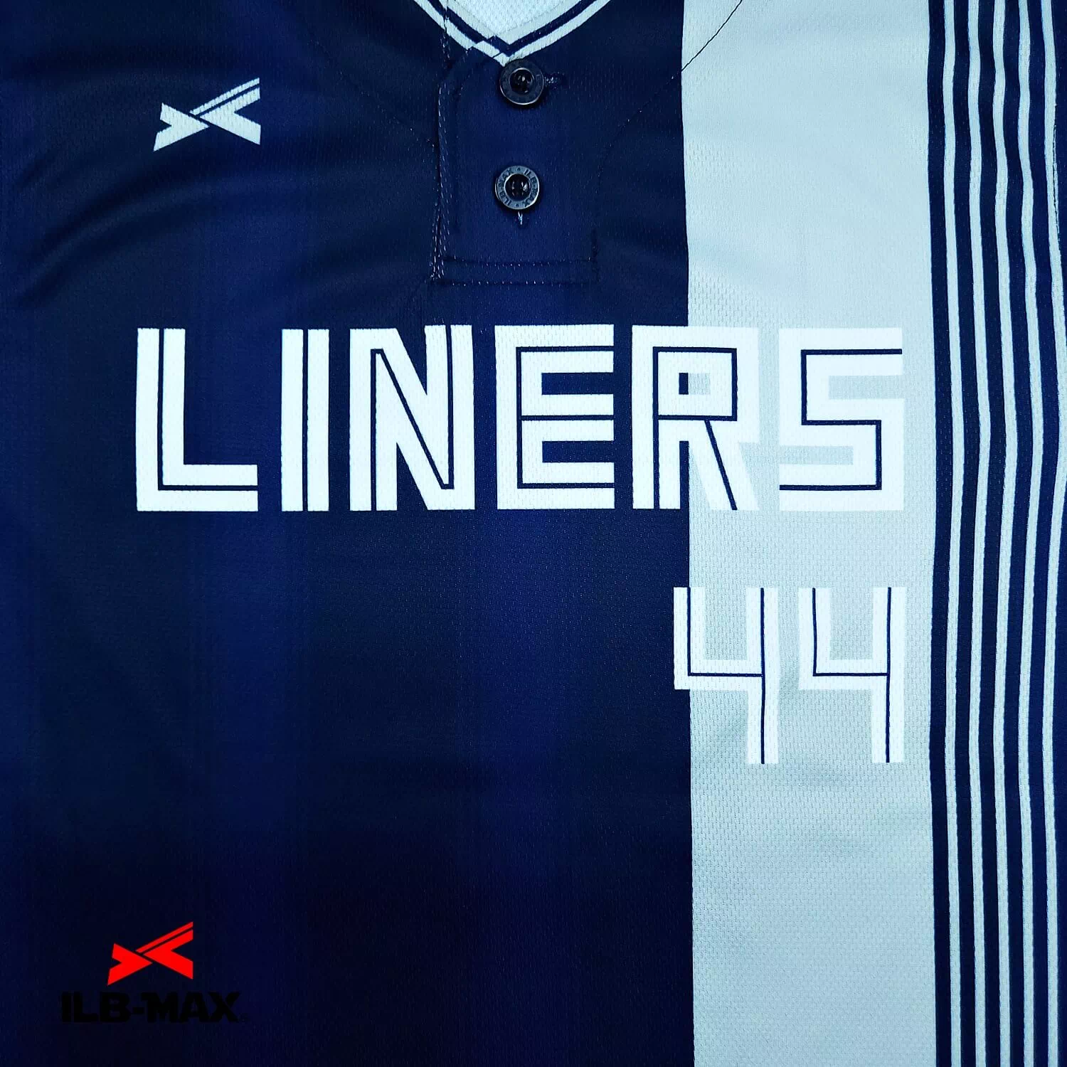 TAGAMI LINERS1