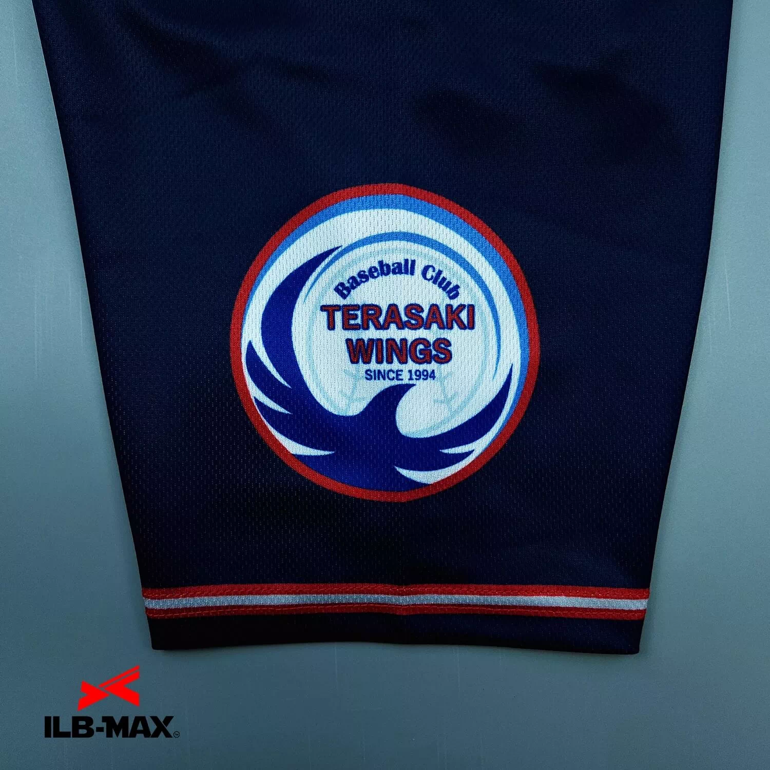 TERASAKI WINGS_ST2
