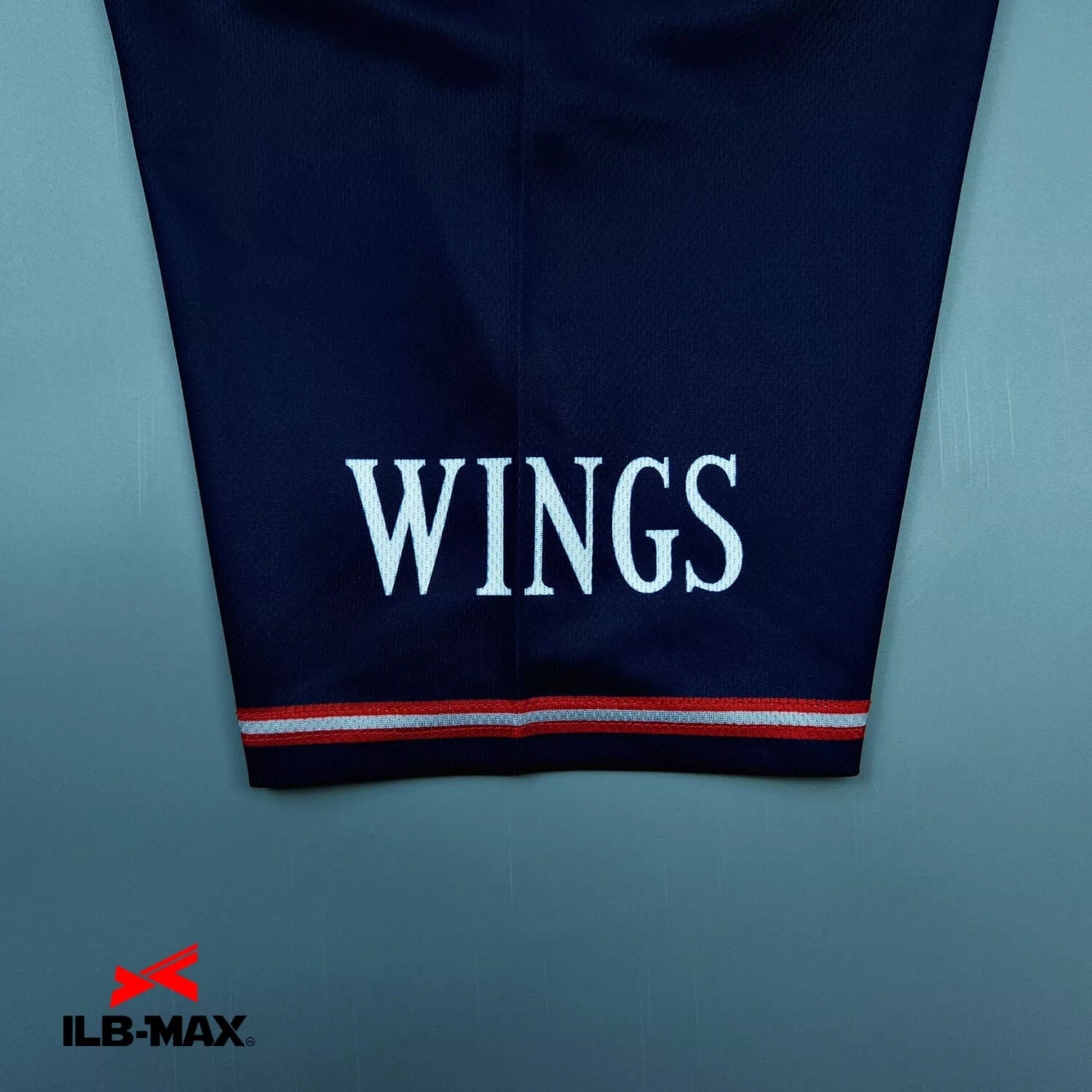TERASAKI WINGS_ST3
