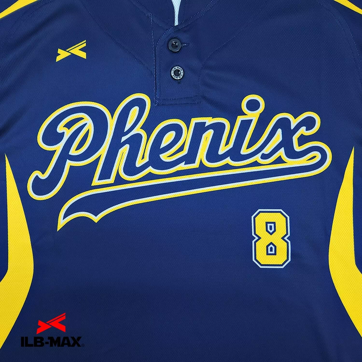 FUJISAWA PHENIX1