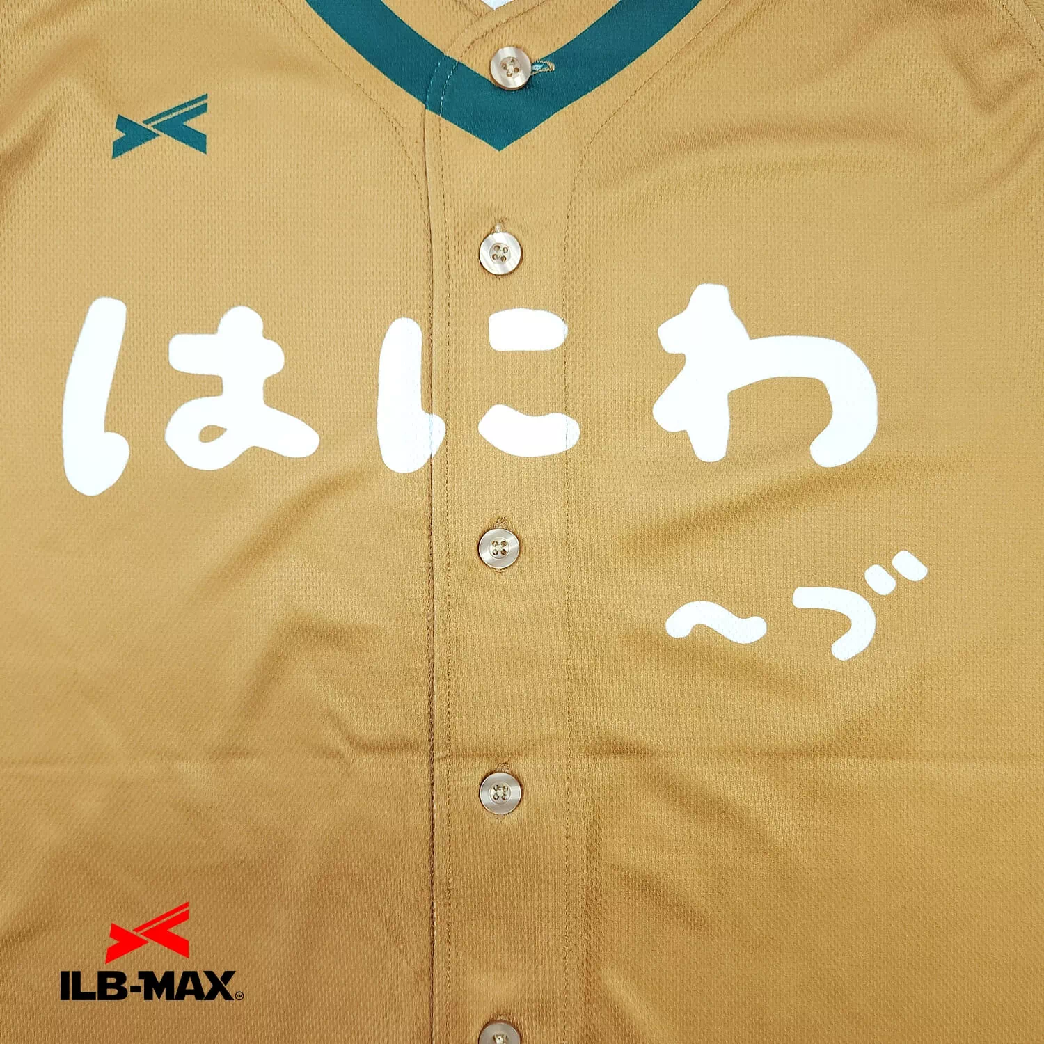 HANIWA2