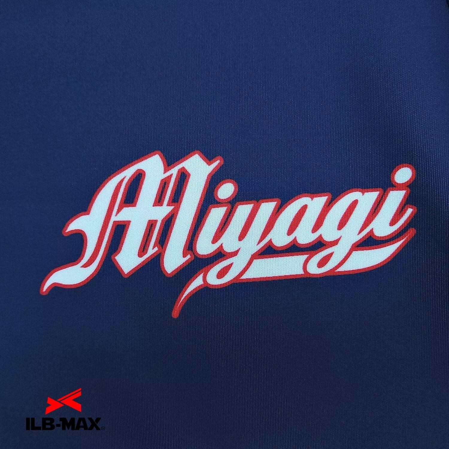 IWANUMA_PV2