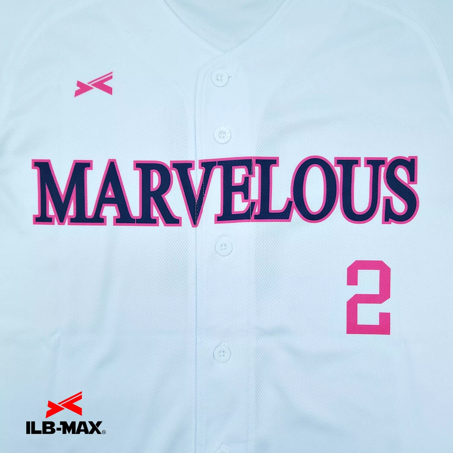 IWATE MARVELOUS2