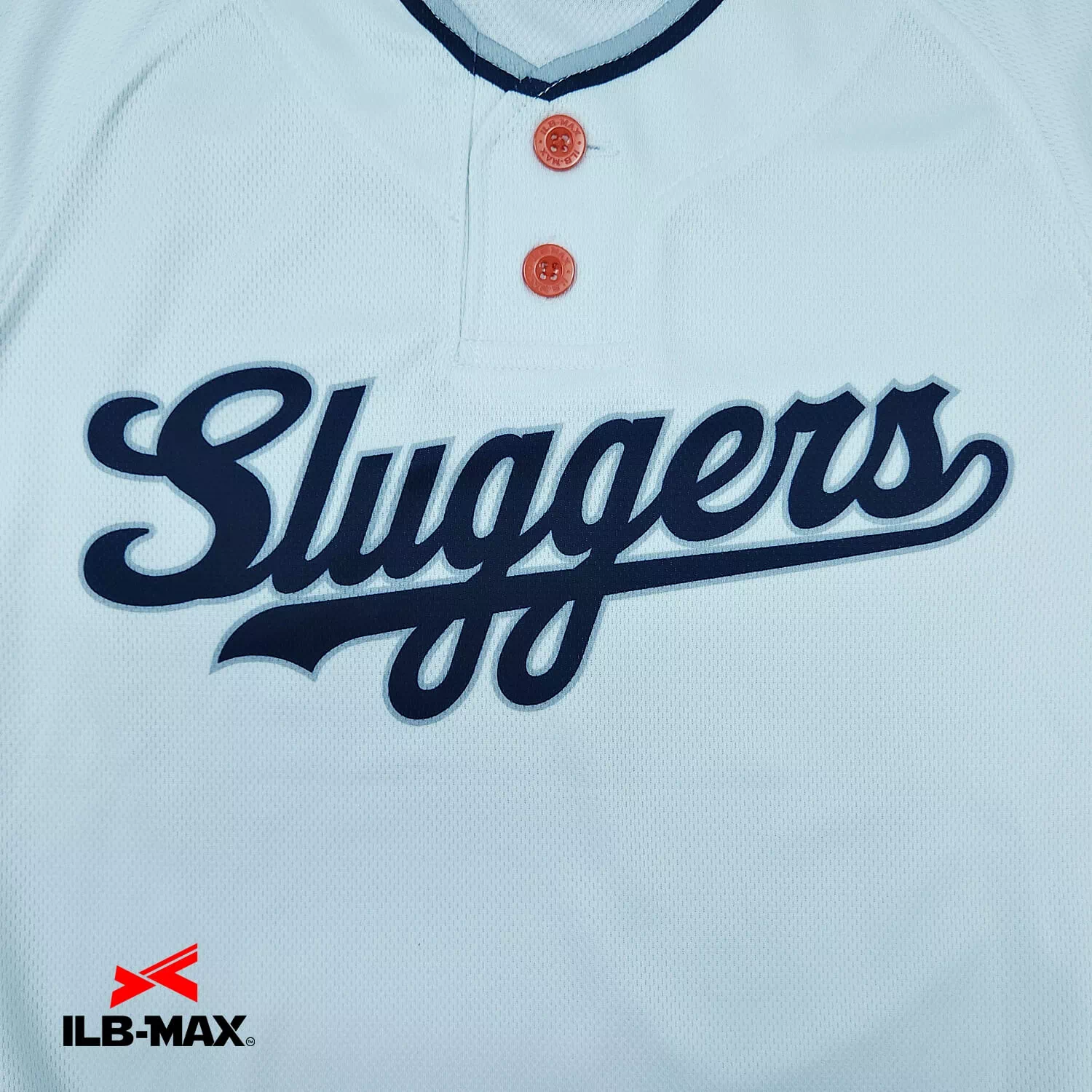 KAGOSHIMA Sluggers2