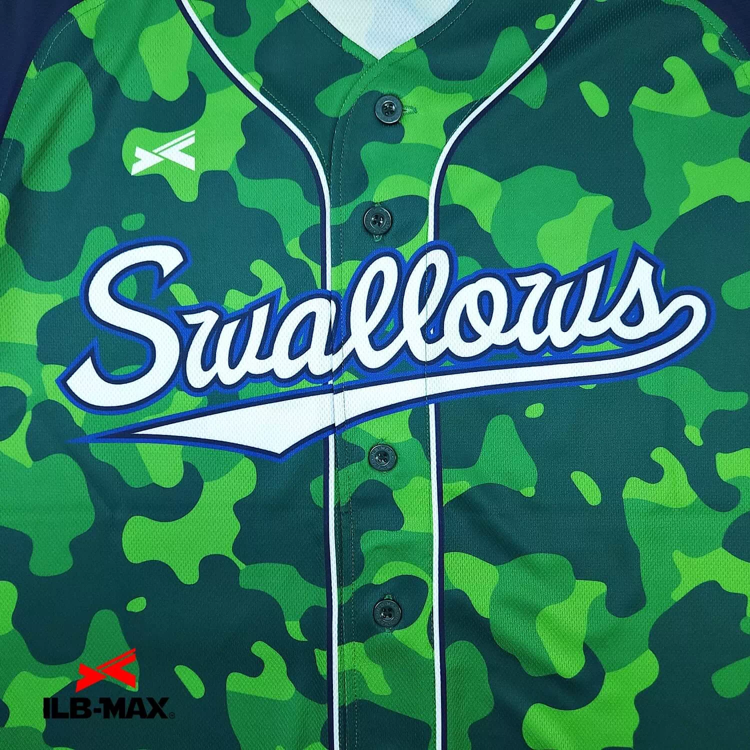 Nagoya swallows 2nd1