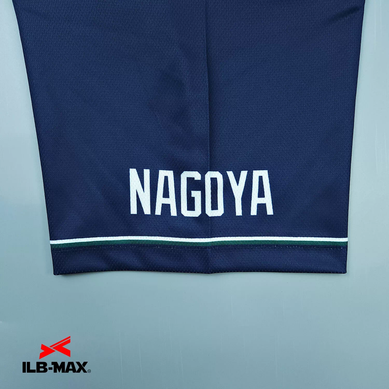 Nagoya swallows 2nd2