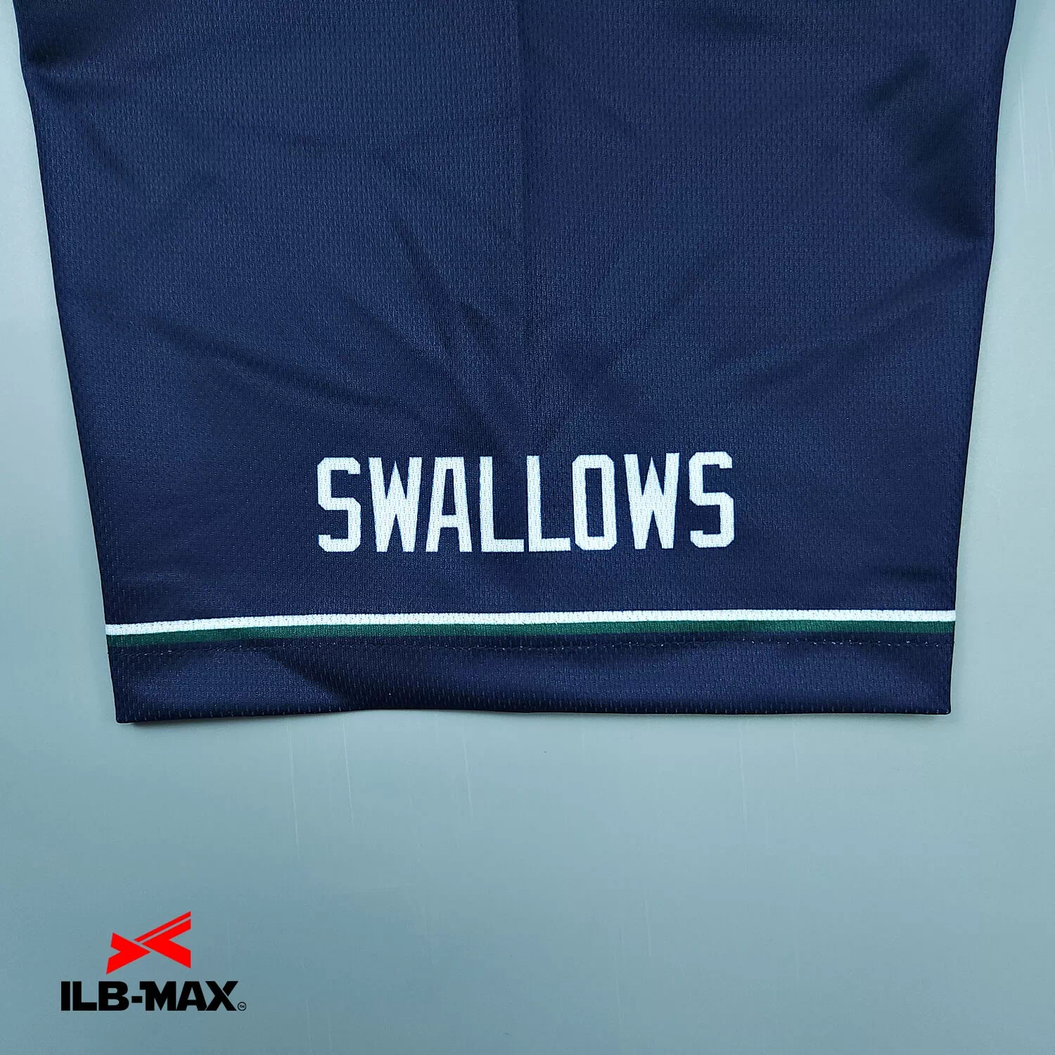 Nagoya swallows 2nd3