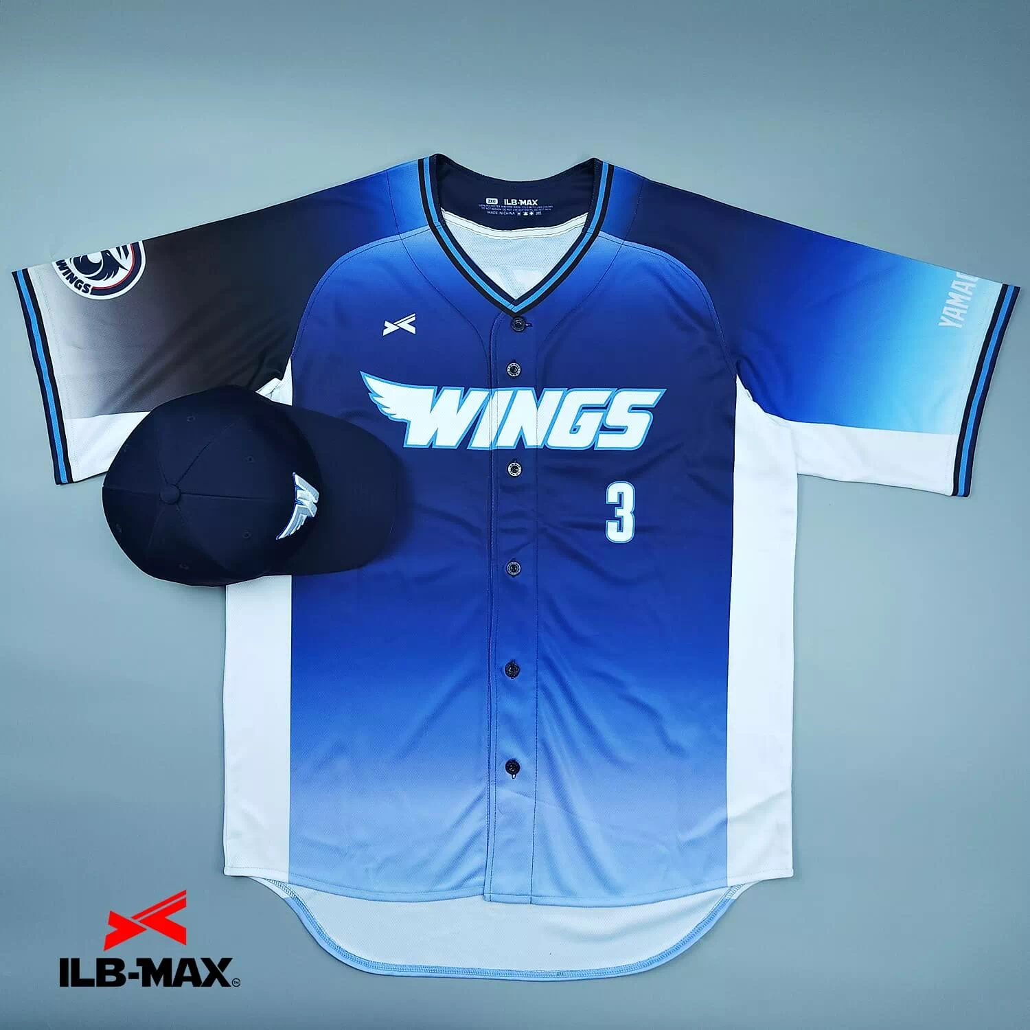 Navy Wings1