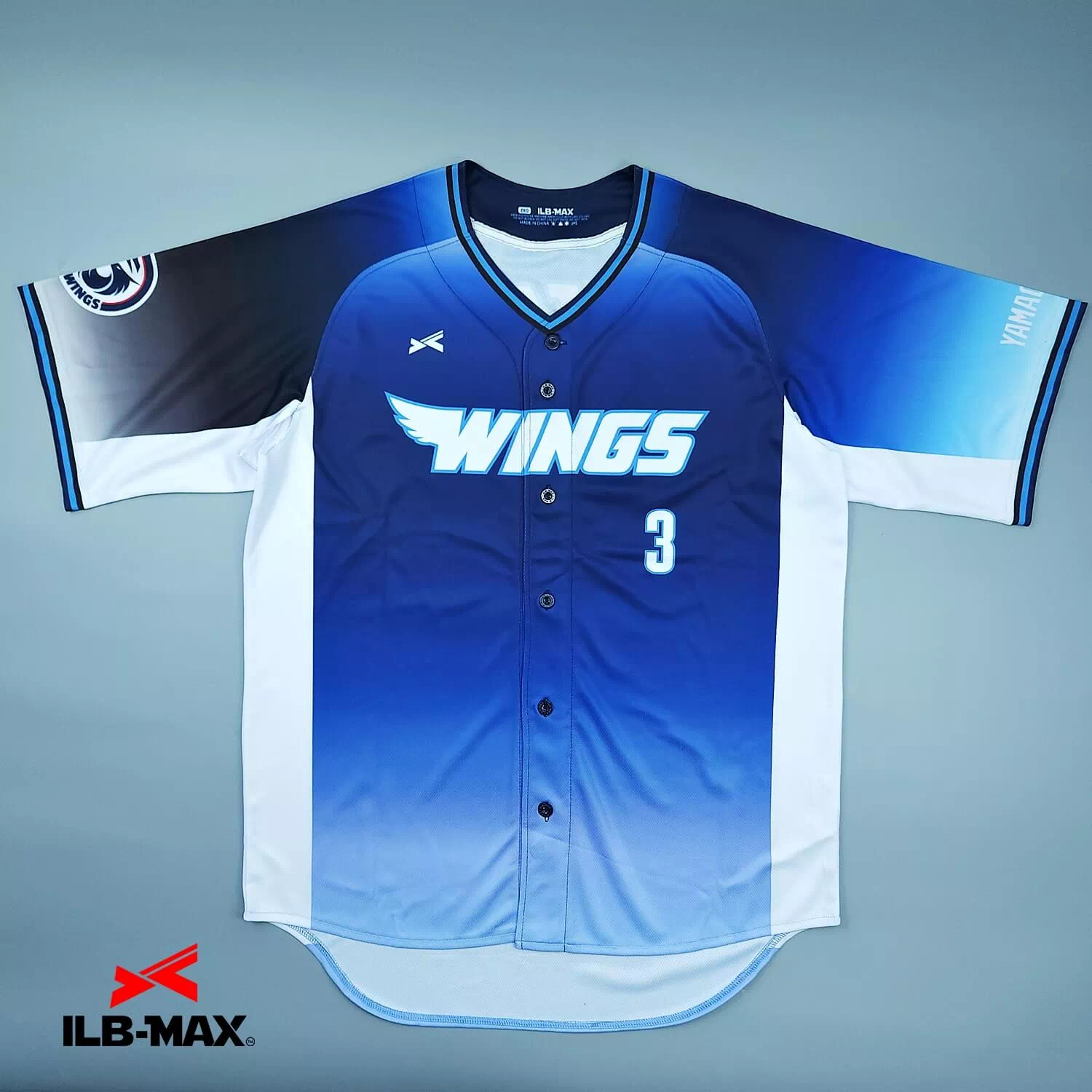 Navy Wings2