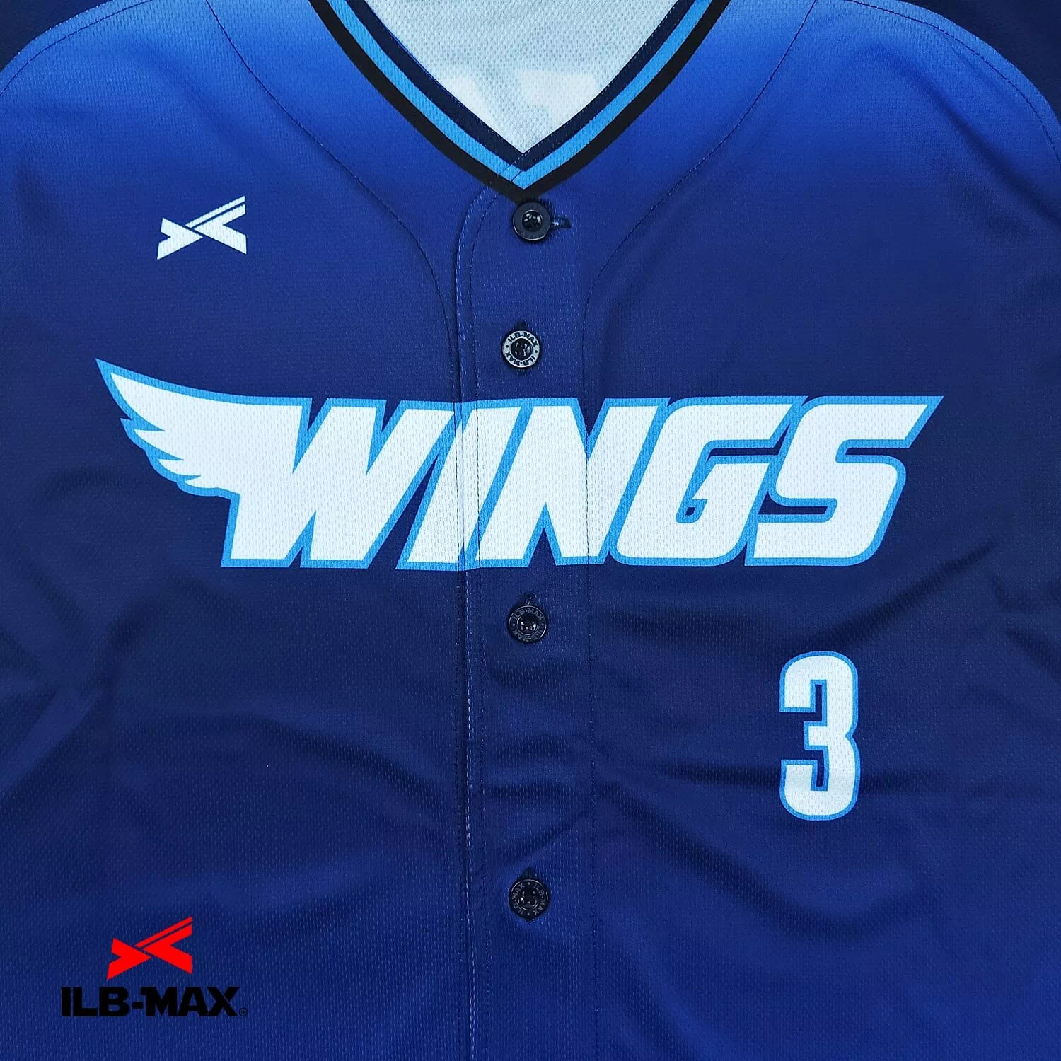 Navy Wings3