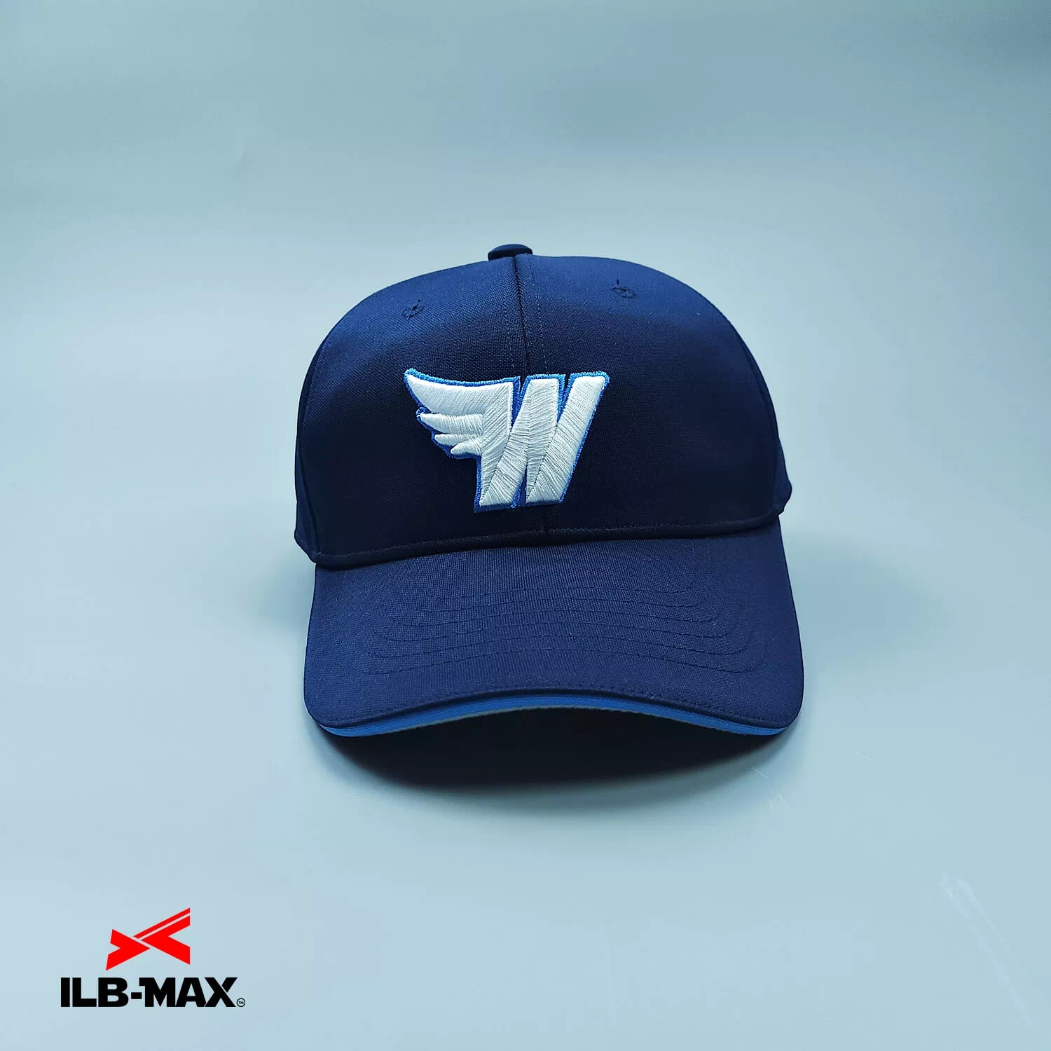 Navy Wings7
