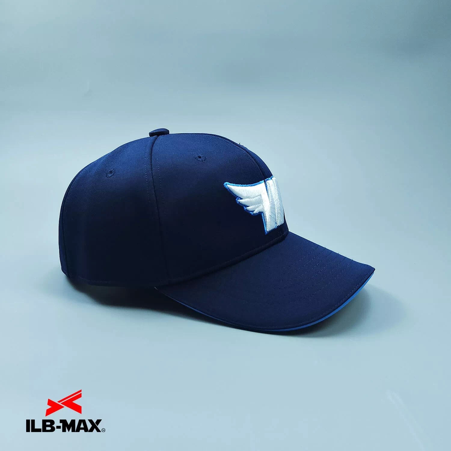 Navy Wings8