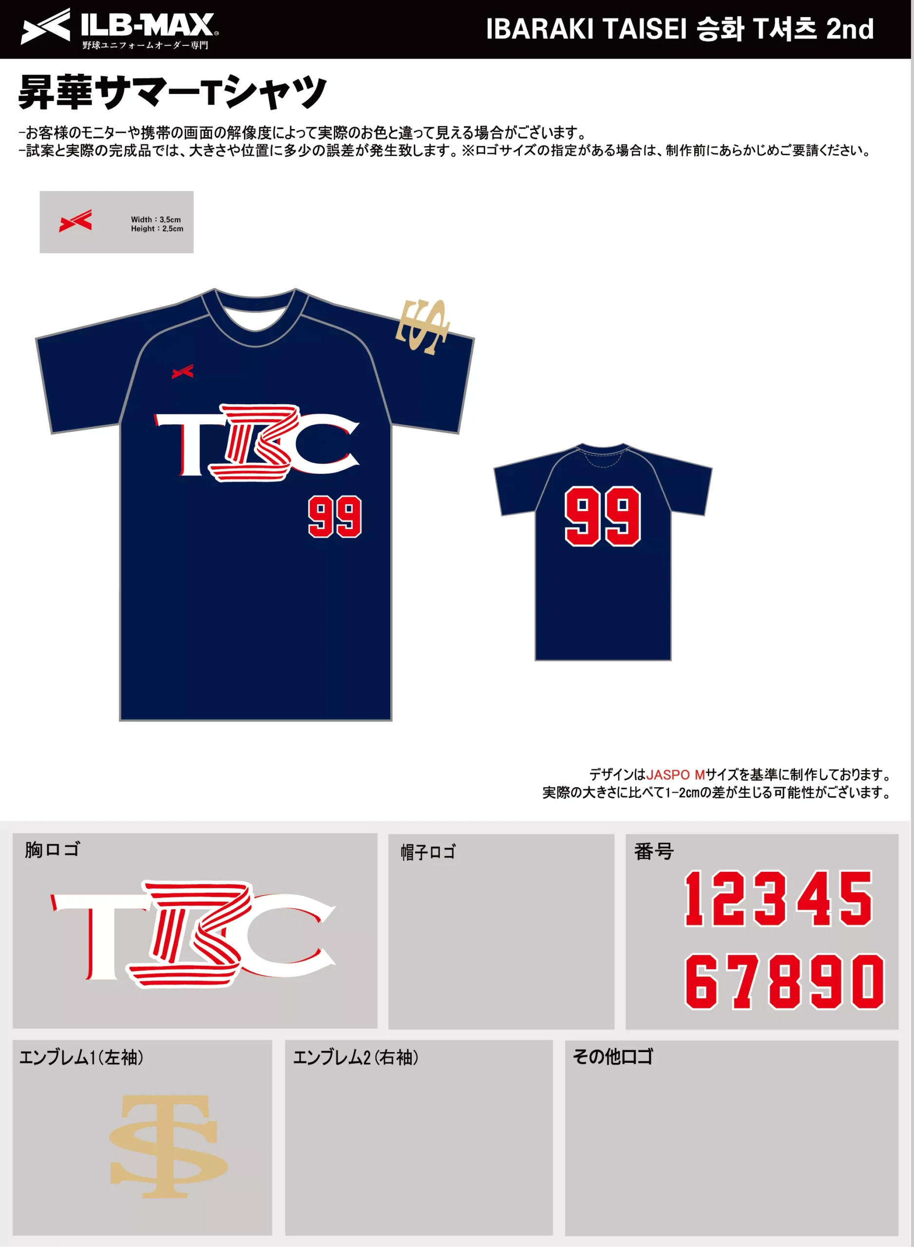 野球 ユニフォーム デザイン_IBARAKI TAISEI 2nd_ST.webp