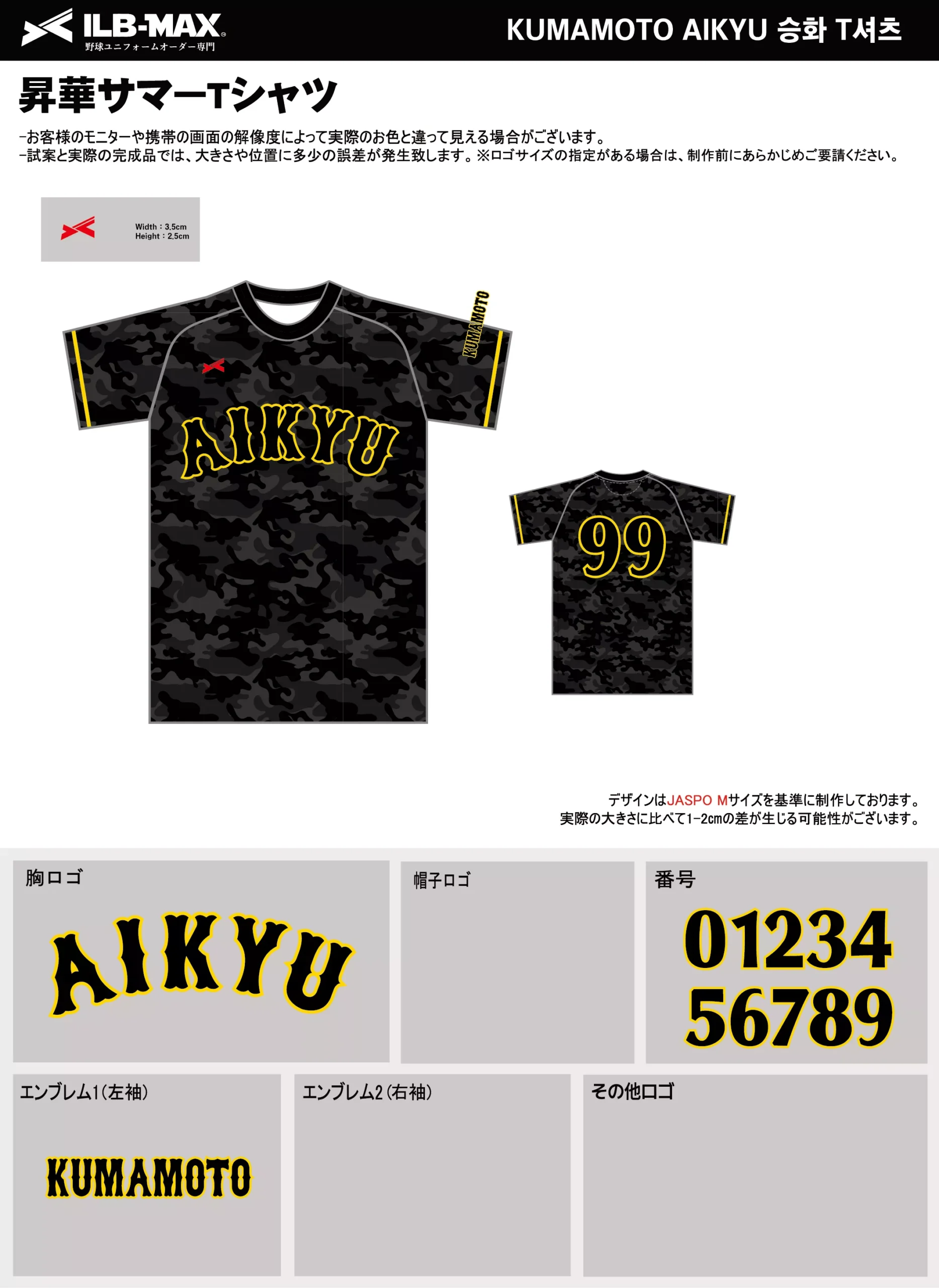 野球 ユニフォーム デザイン_KUMAMOTO AIKYU_ST.webp