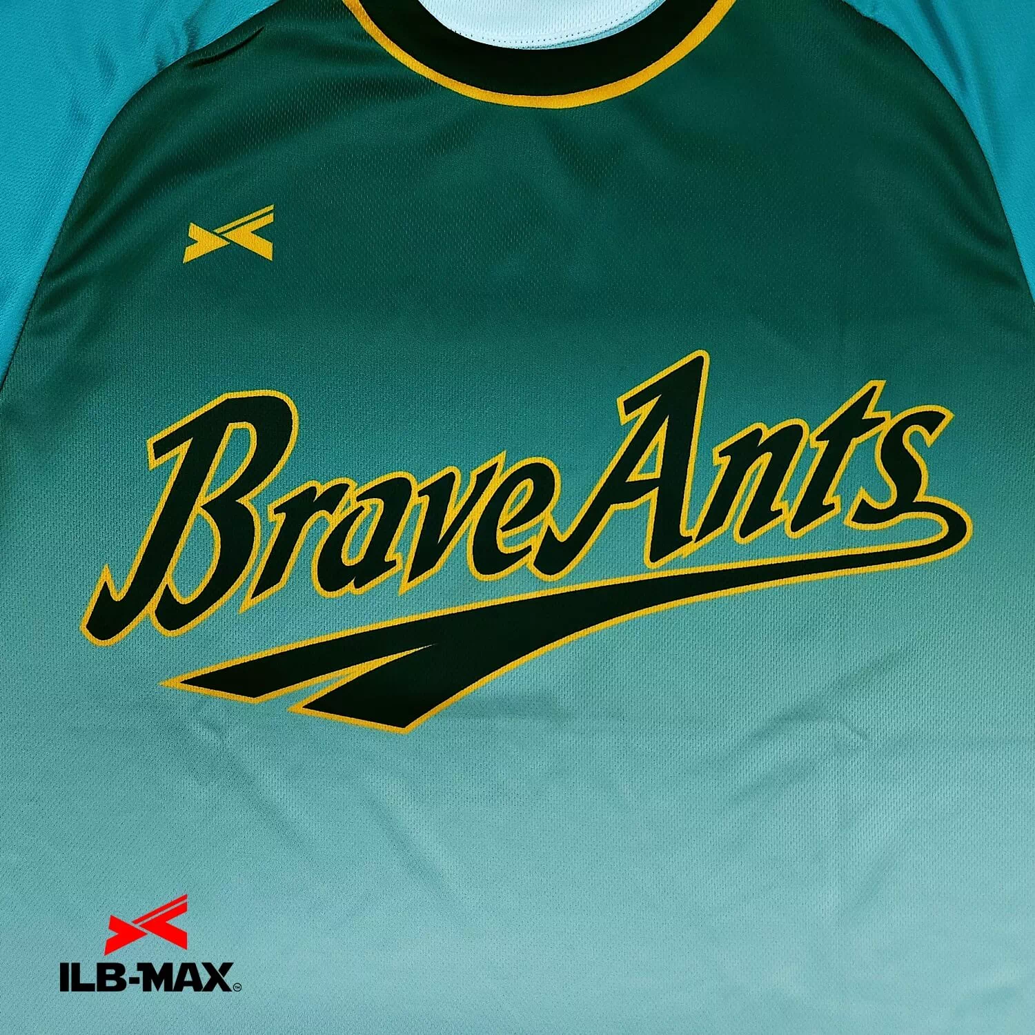 BraveAnts1
