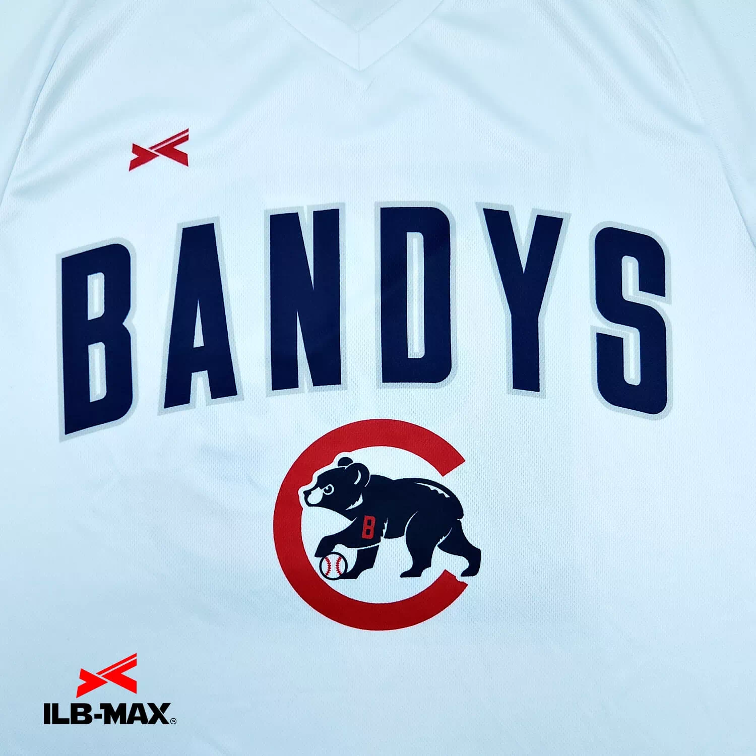 CHUO BANDYS 4th_ST1