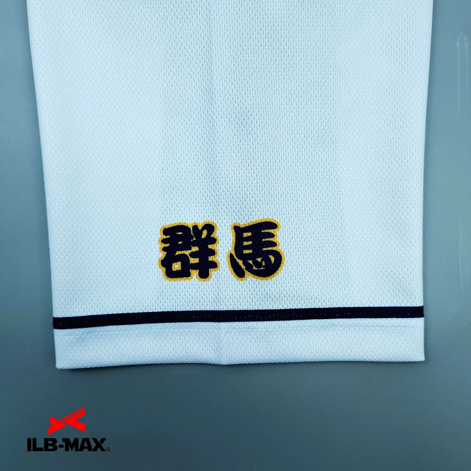 GUNMA EAGLES2