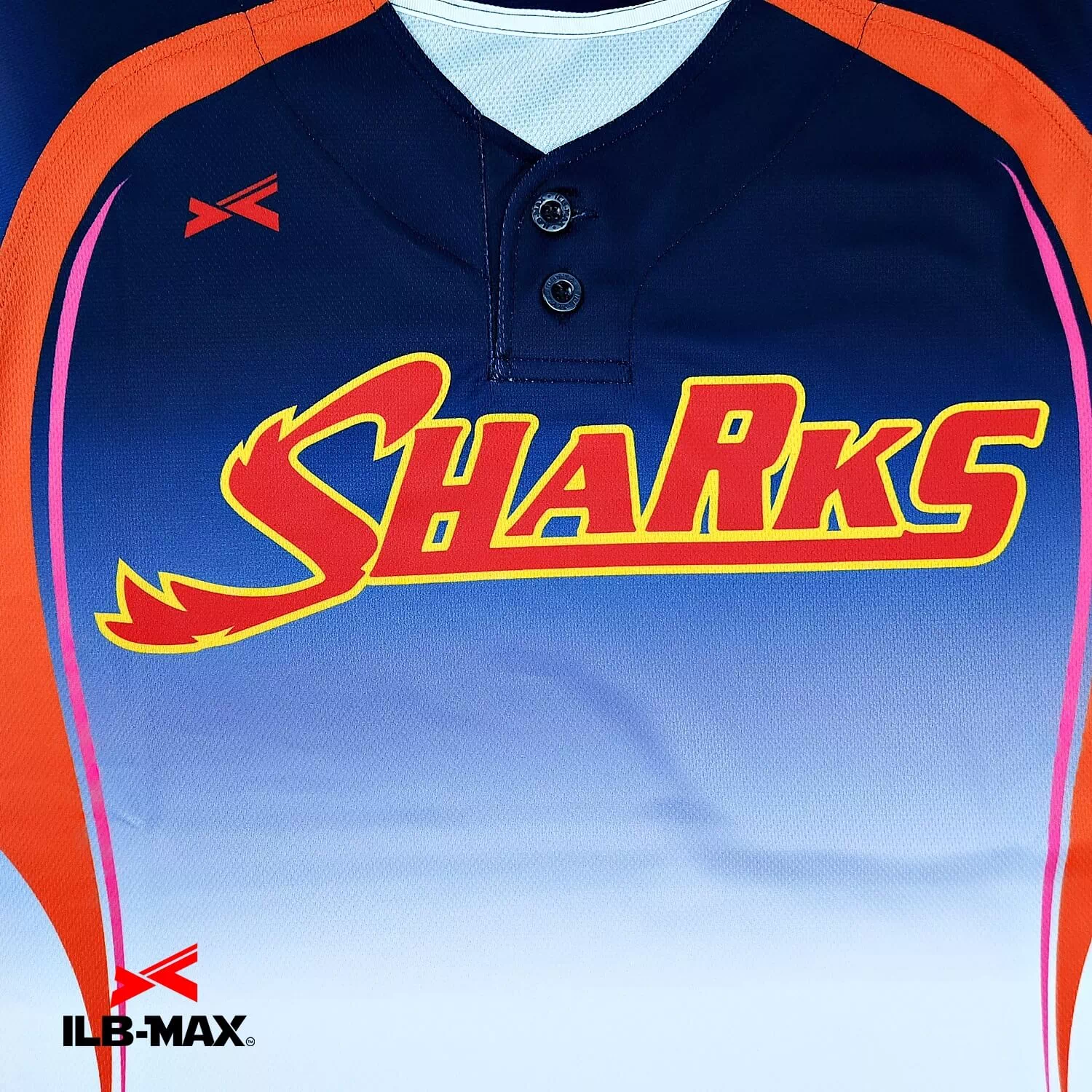 HACHIMAN SHARKS2