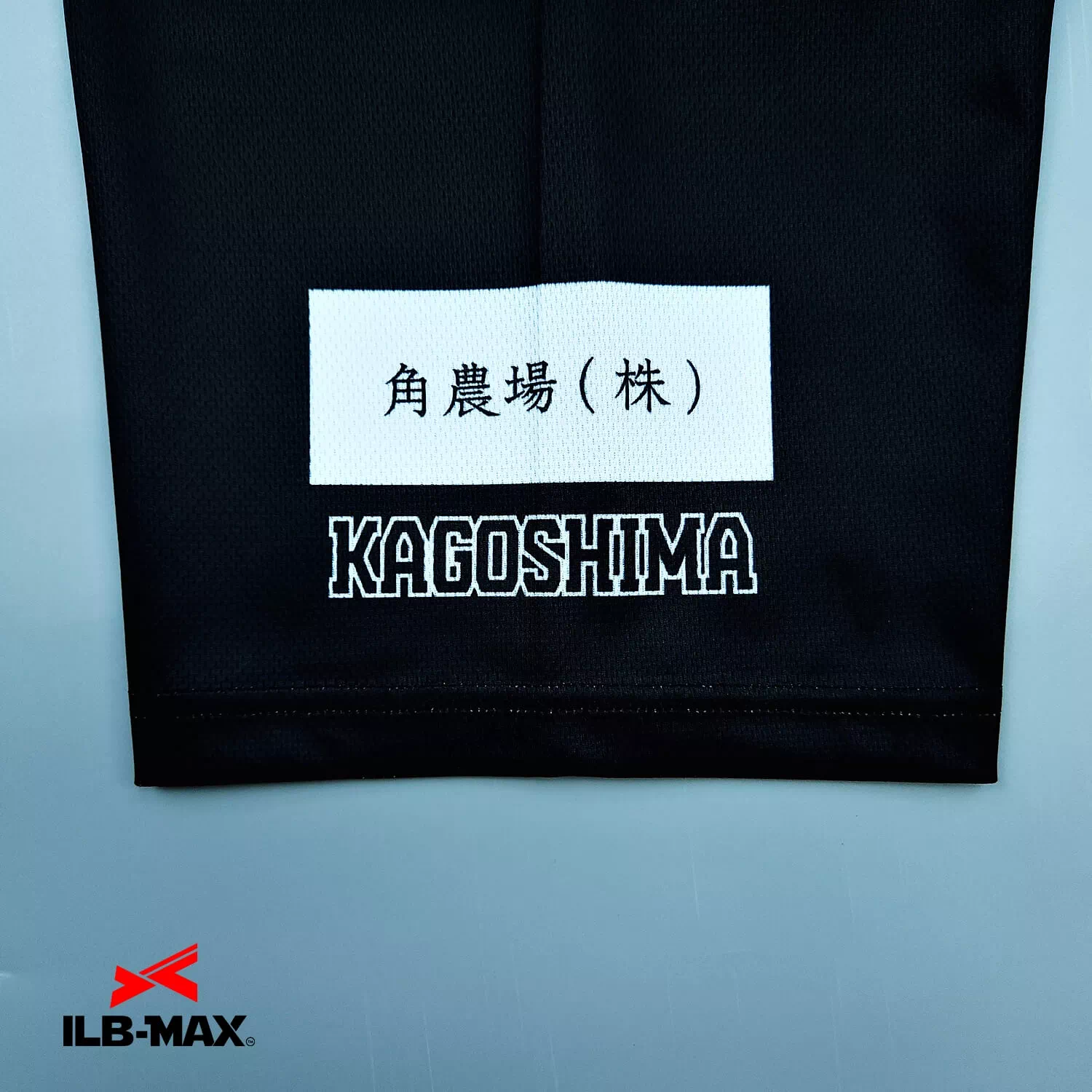 KAGOSHIMA CHICKEN_1st3