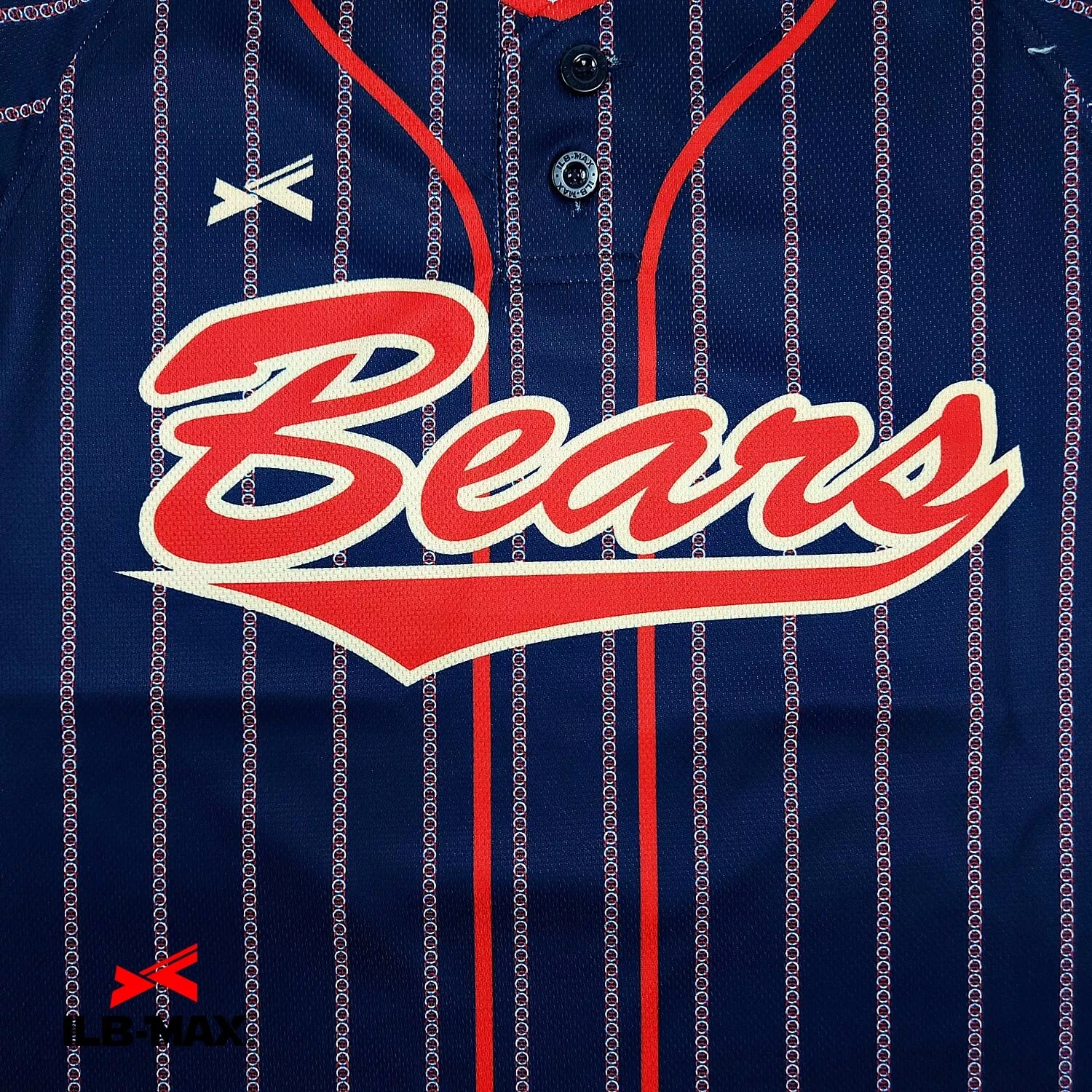 KANAGAWA Bears1