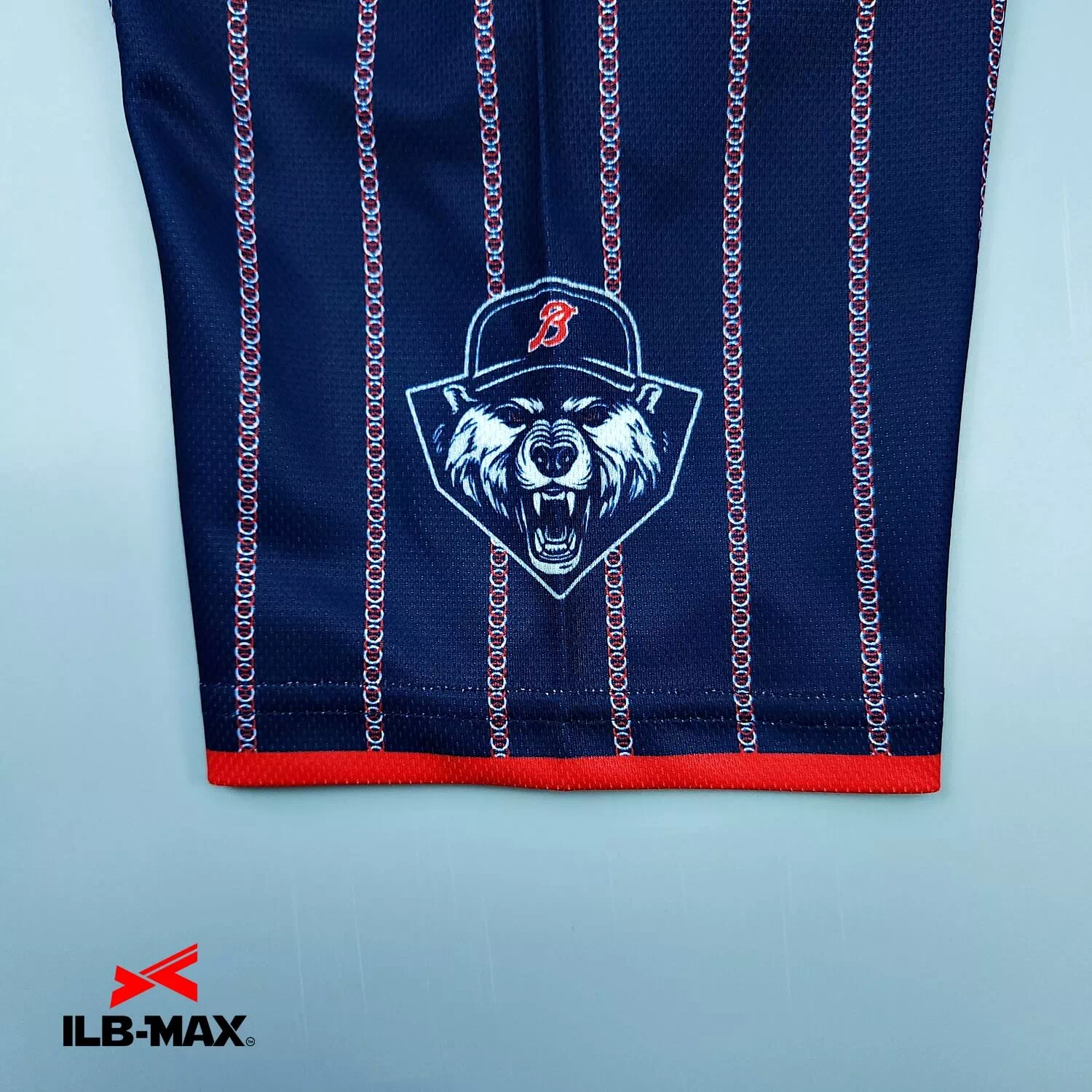 KANAGAWA Bears3