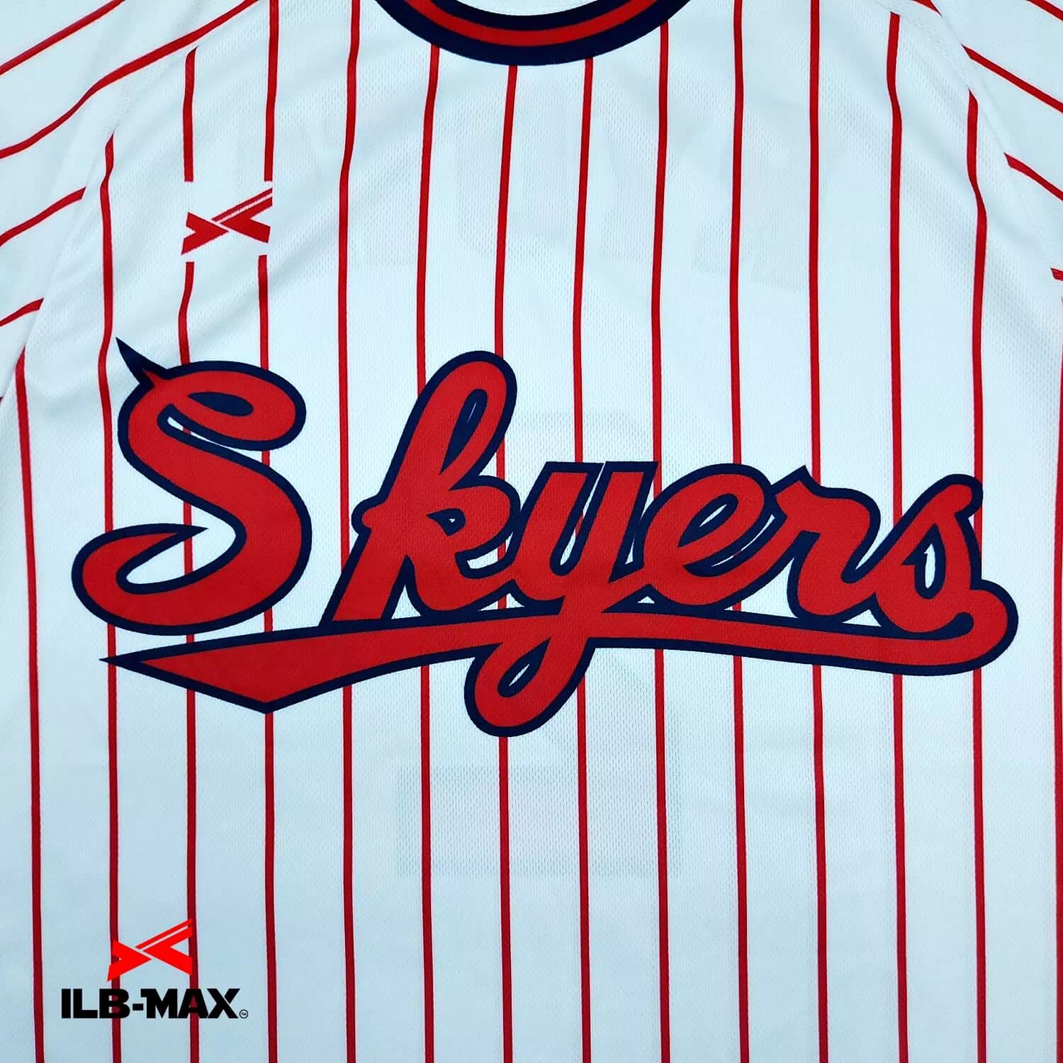 KANAGAWA skyers_ST1