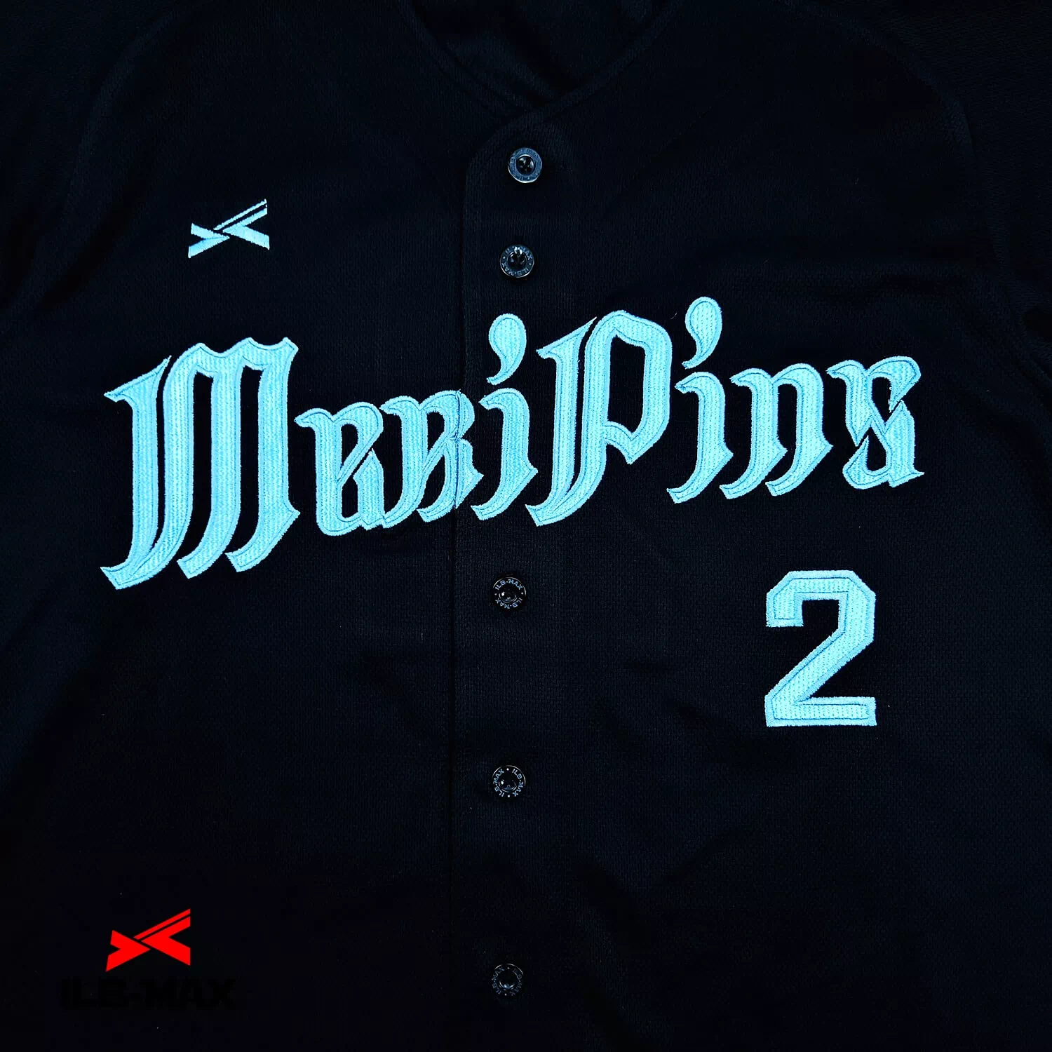 MeriPins2