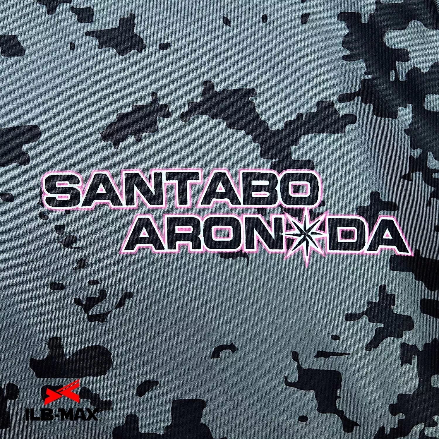 SANTABO ARONADA_PV3