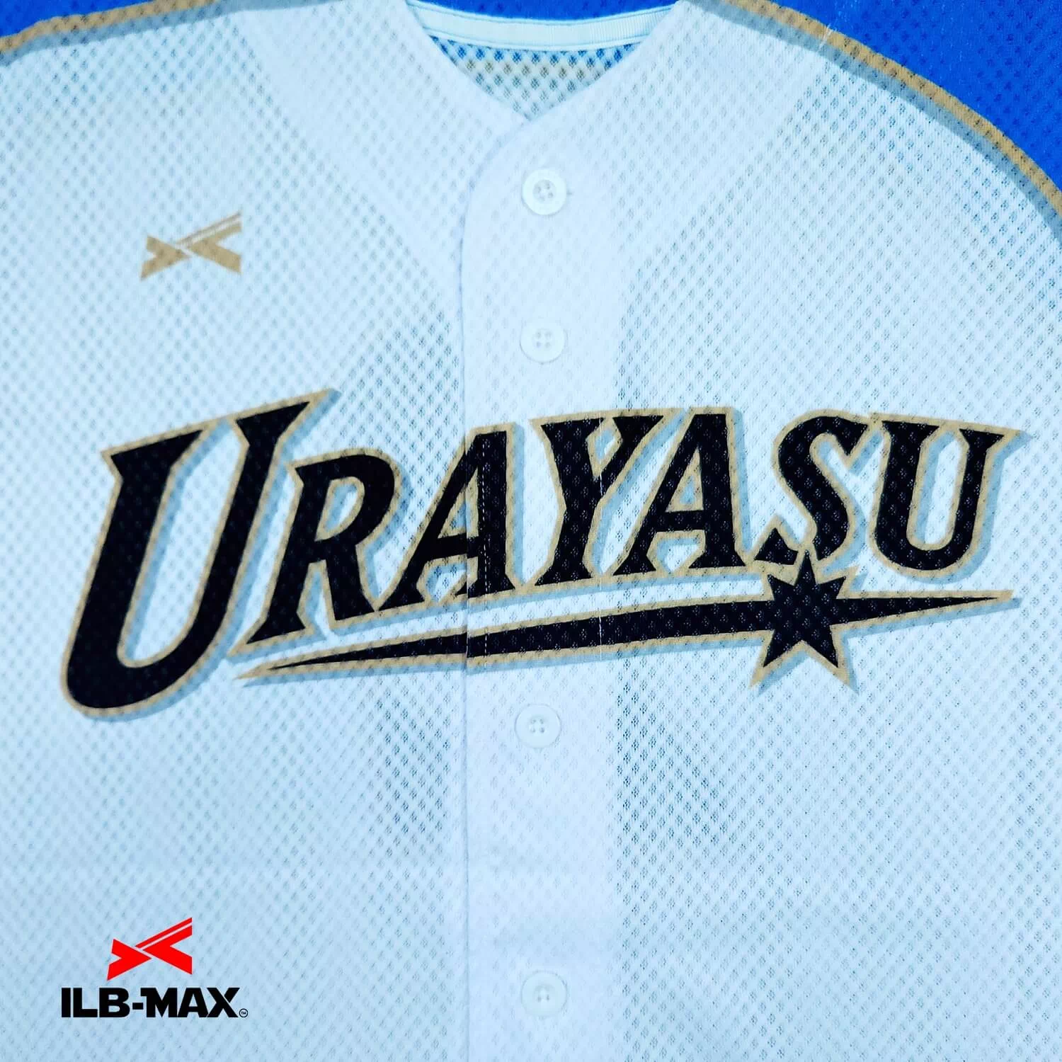 URAYASU2