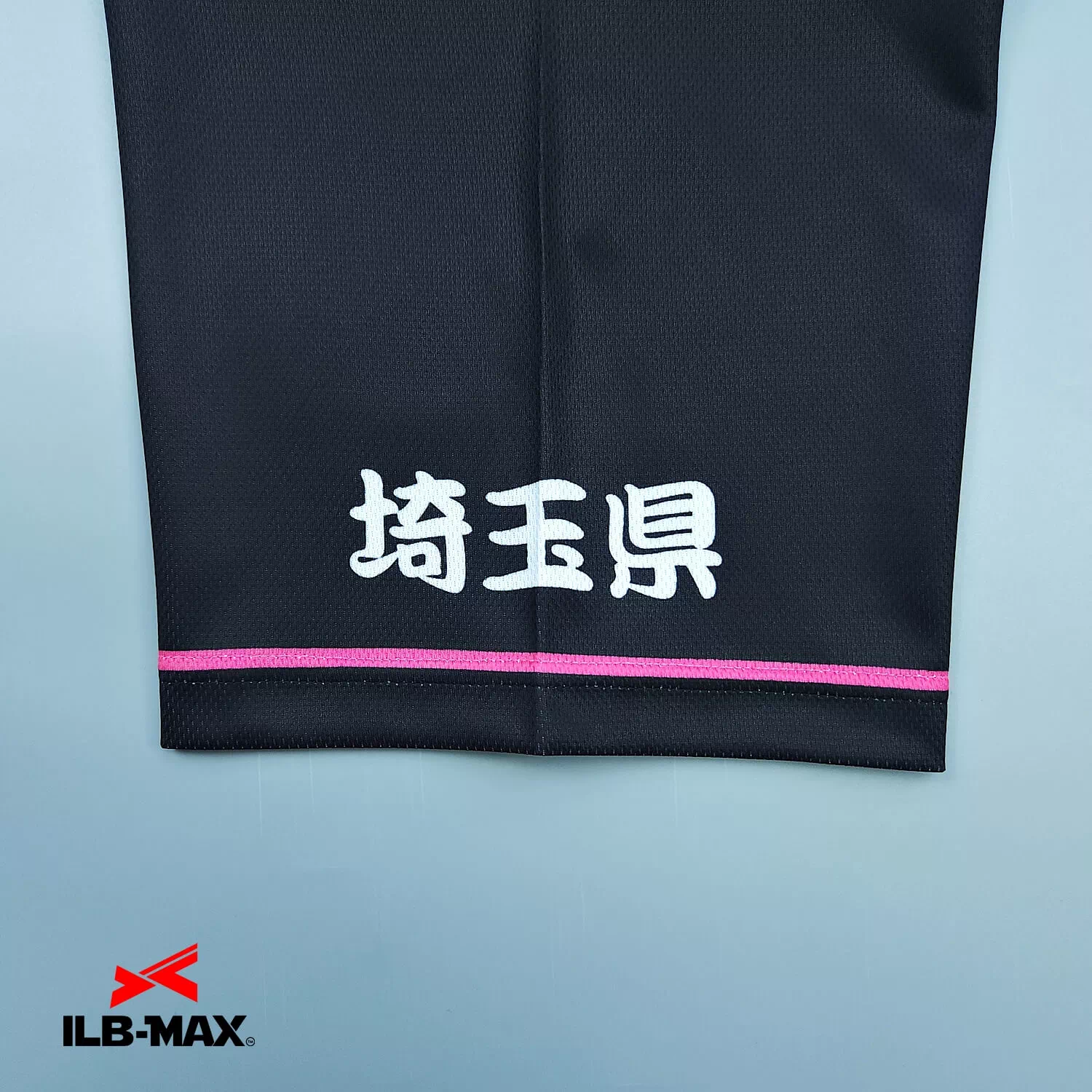 saitamakengyouseisyoshikai3